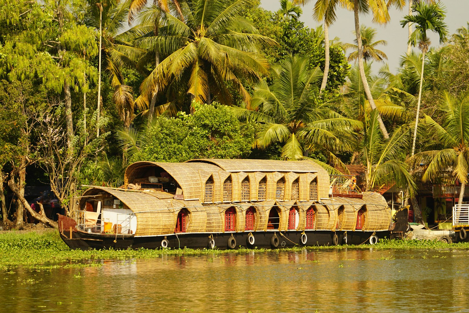 A thatched Kerala houseboat moored among coconut palms on the backwaters