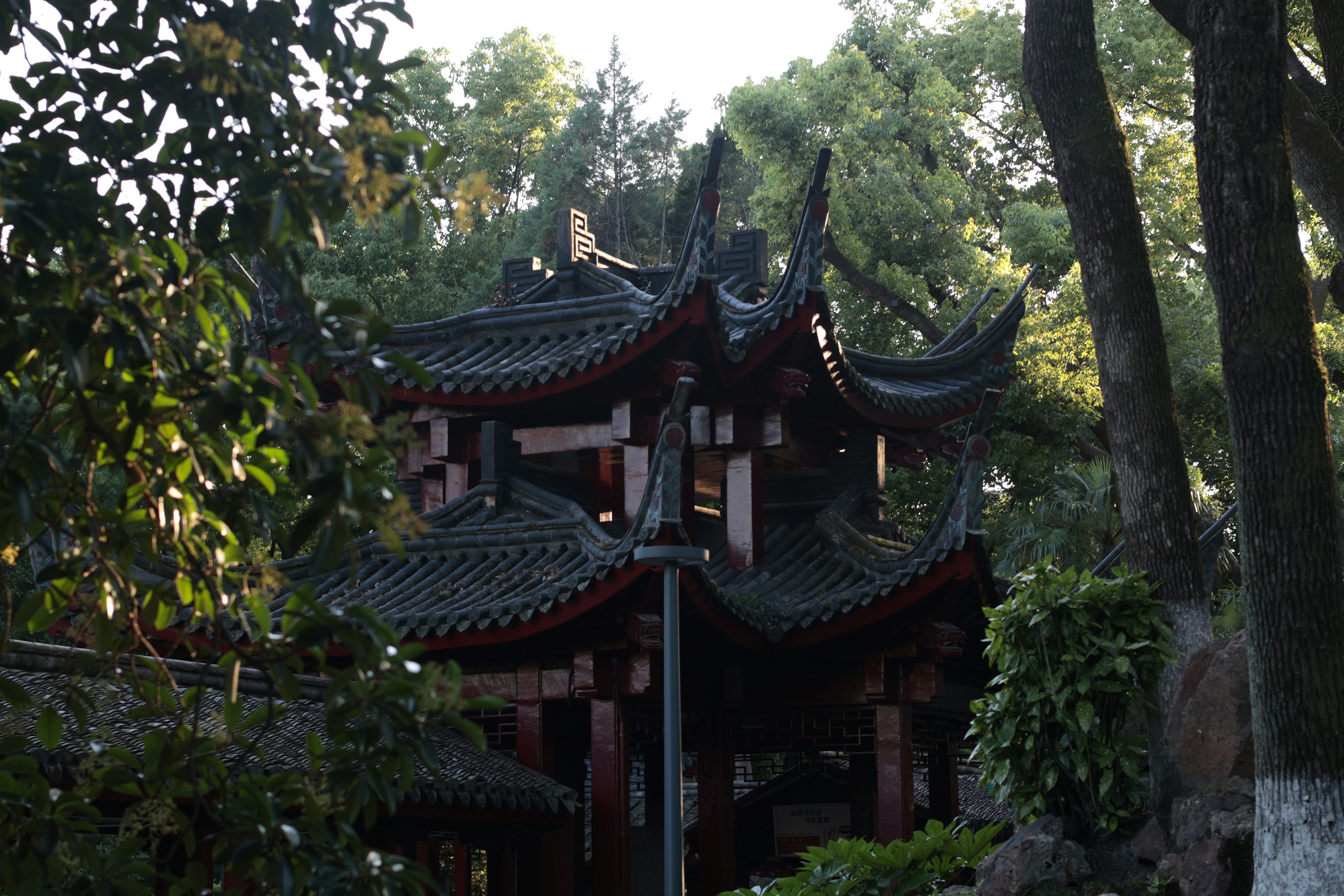 Traditional chinese pavilion roofs visible through green foliage.