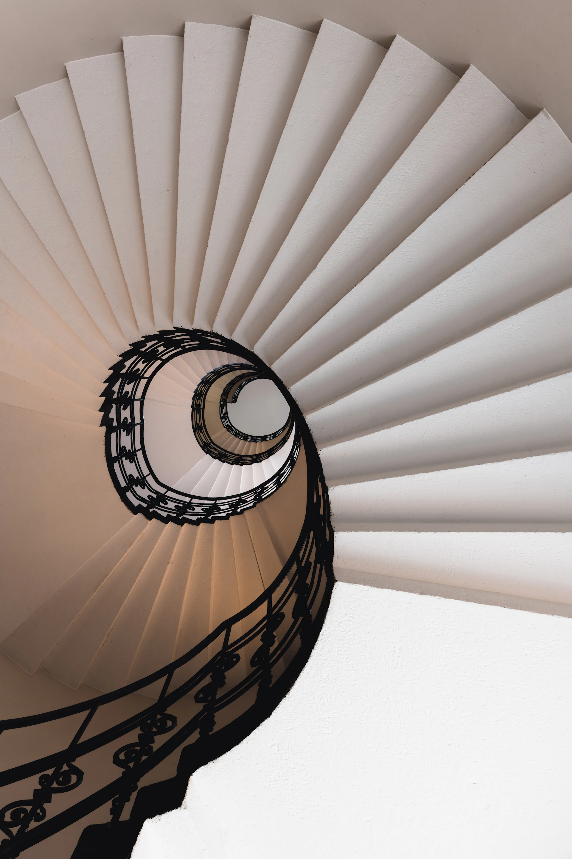 Elegant spiral staircase with white steps and black railing.