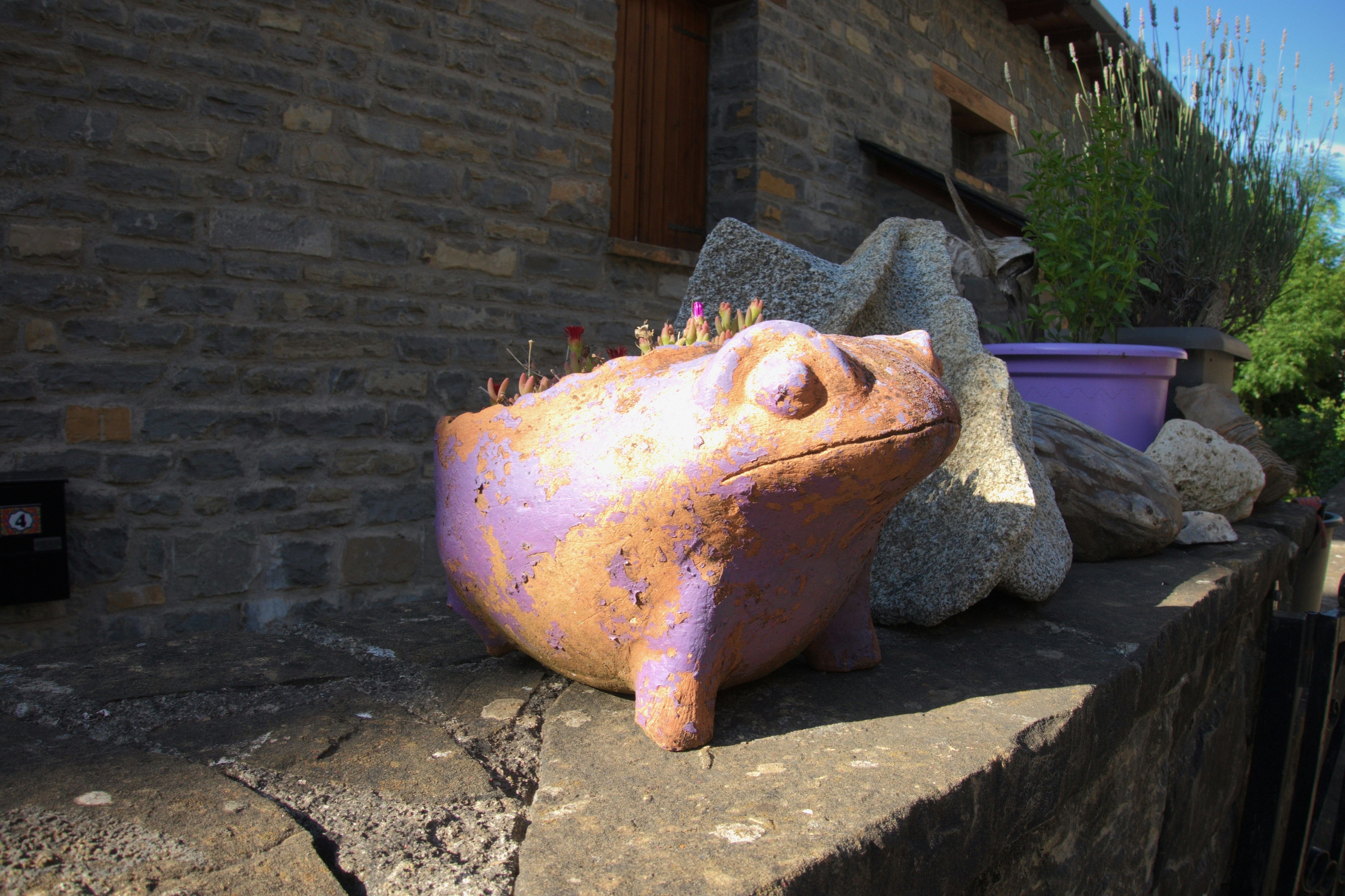 A purple frog-shaped planter on a stone wall.