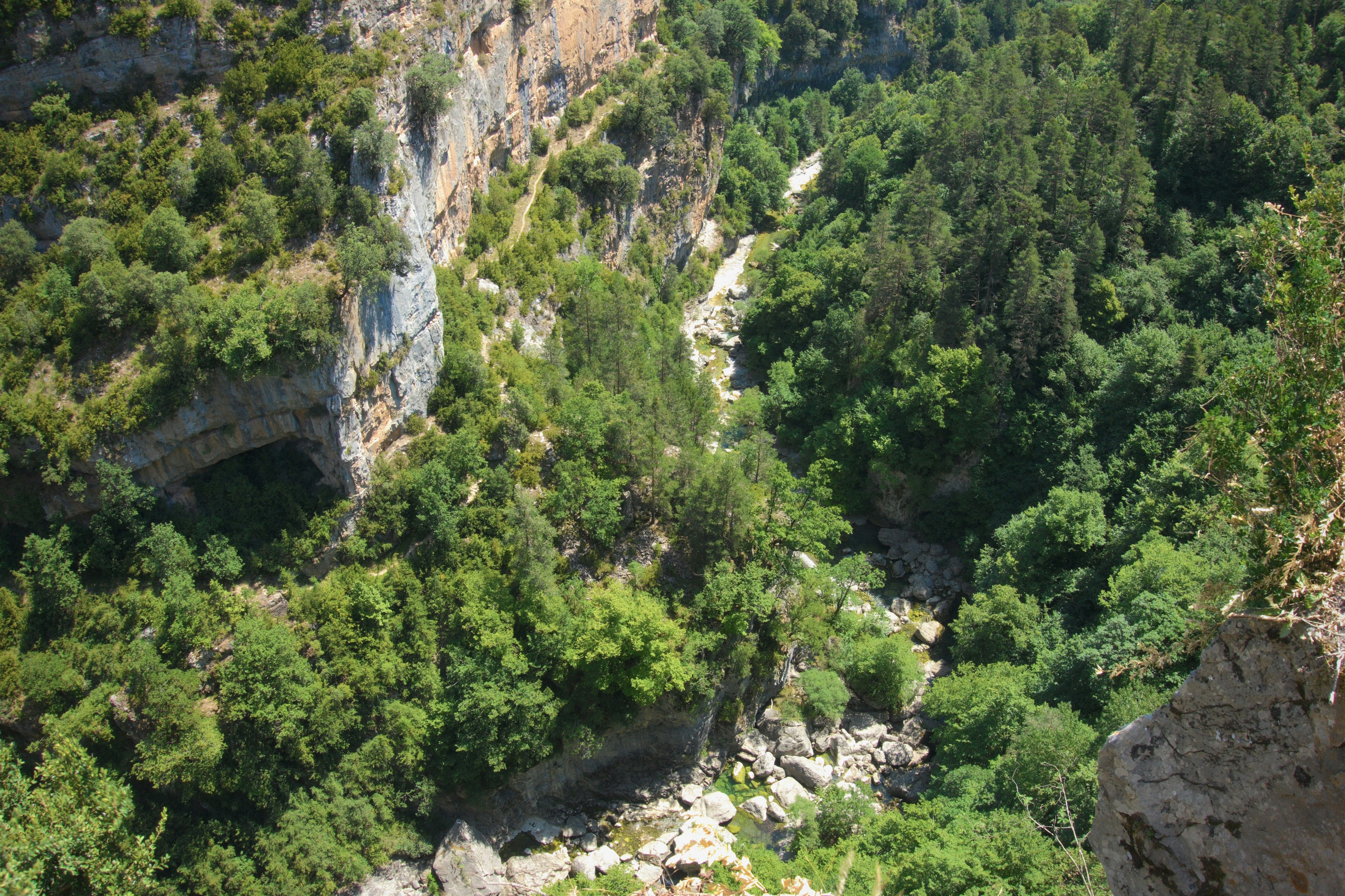 Lush green canyon with rocky cliffs and a dry riverbed.