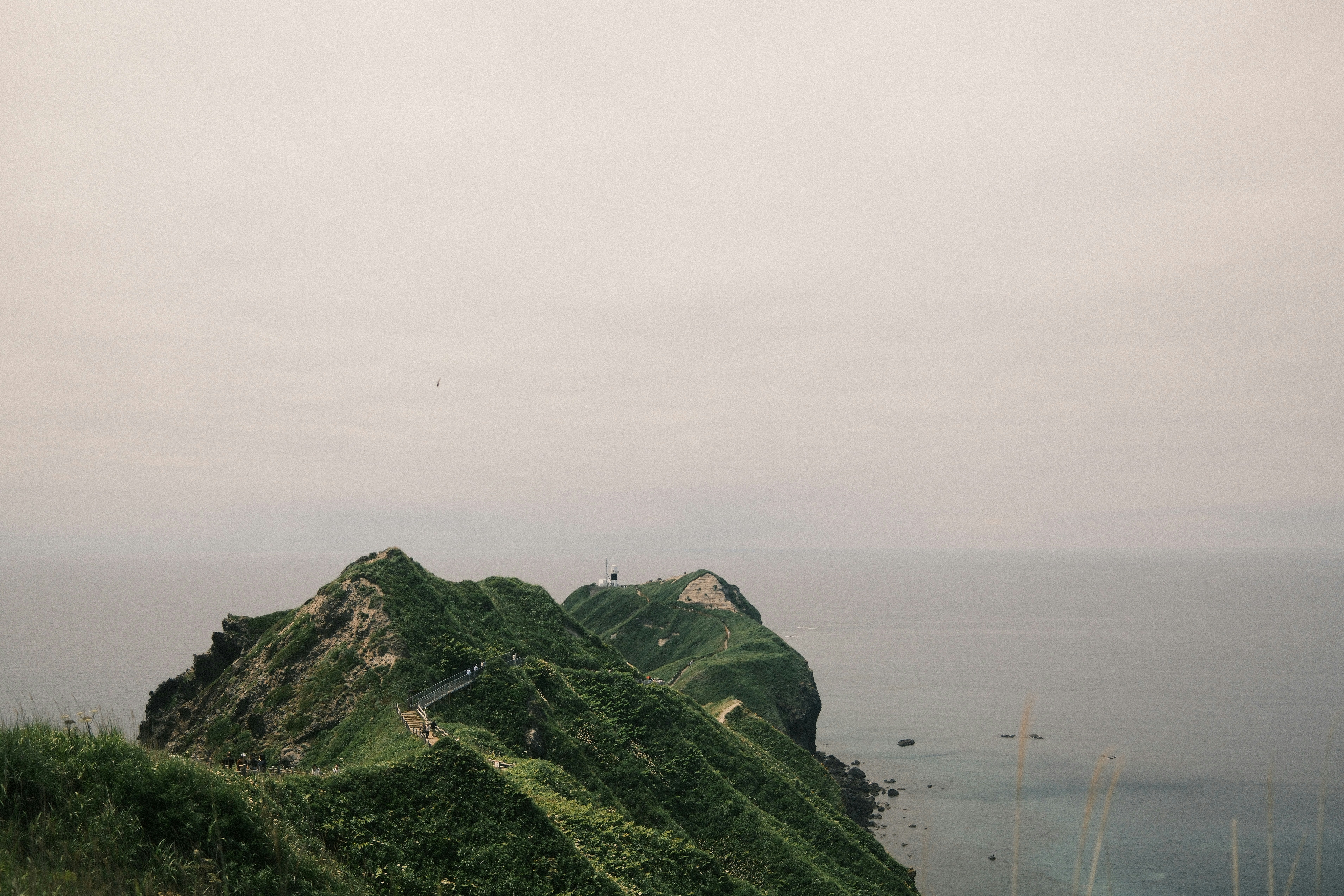 Green cliff jutting into the ocean under a pale sky