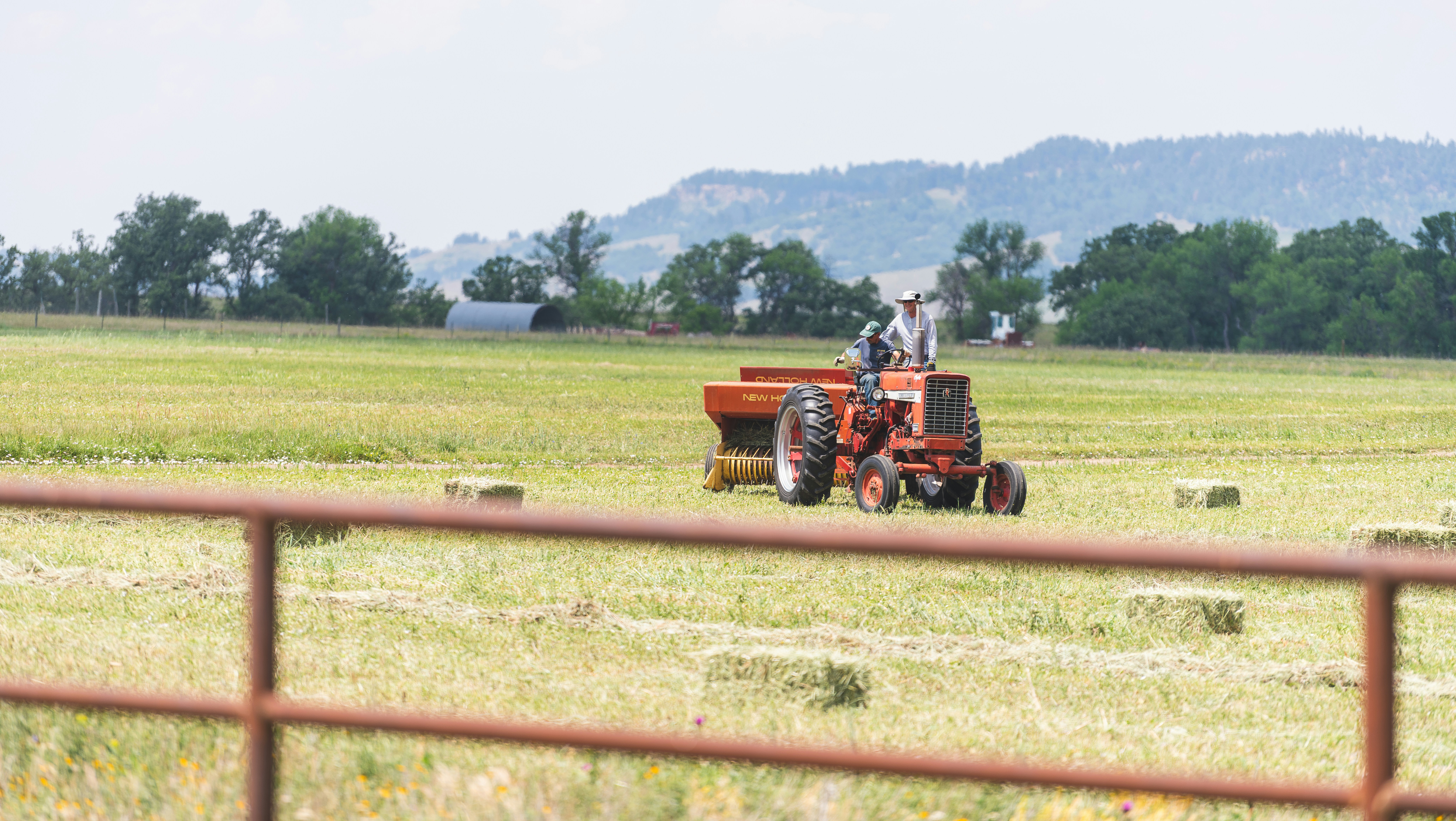 Un trattore rosso fa balle di fieno in un vasto campo verde.