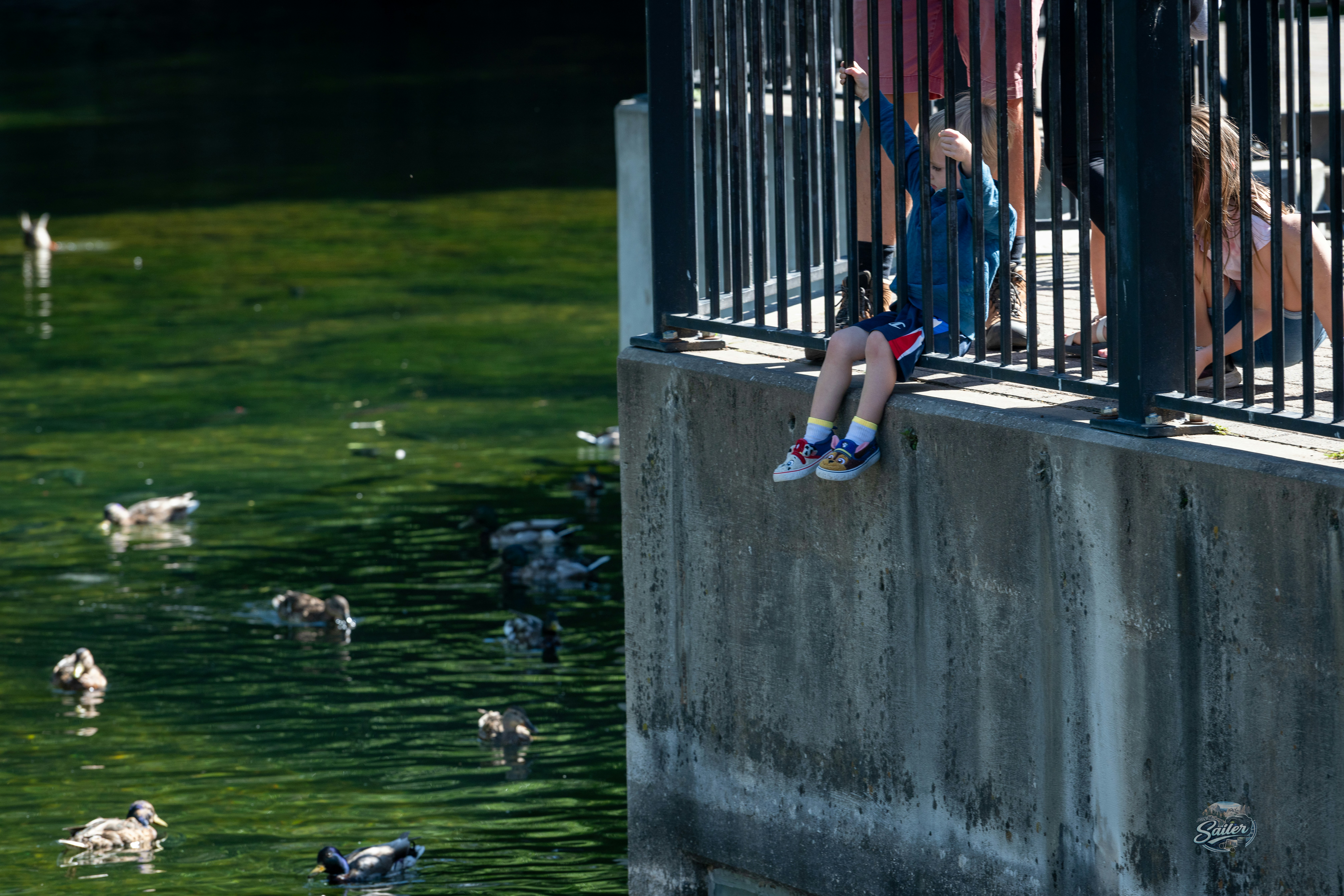 Bambini che danno da mangiare alle anatre nell'acqua verde dello stagno.