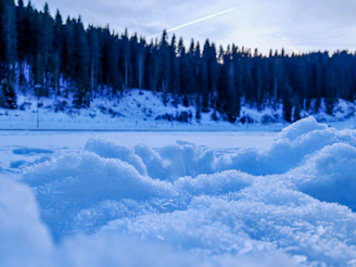 Snowy landscape with a forest and a bright blue sky.