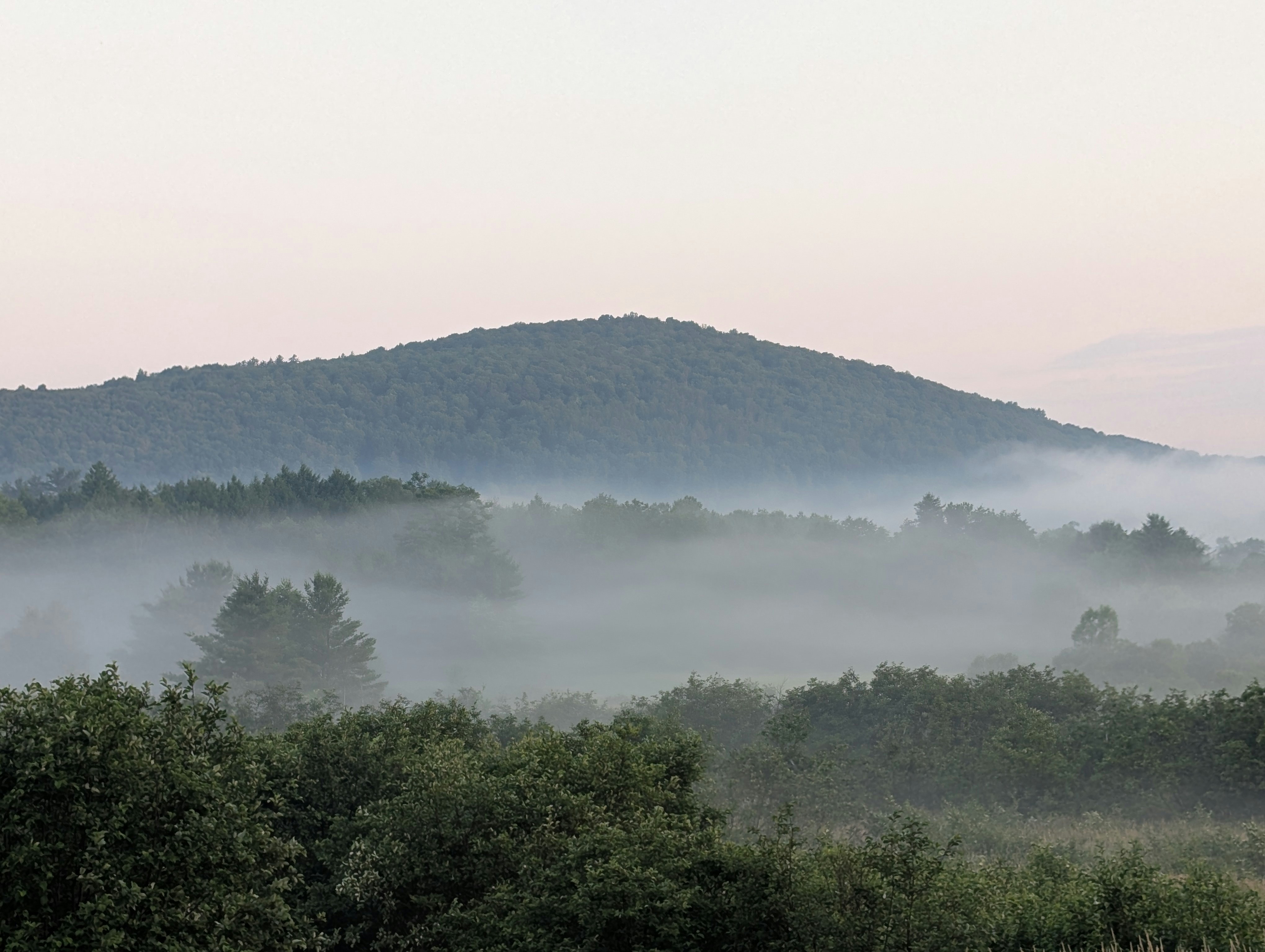 Misty landscape with a distant hill and trees at dawn.