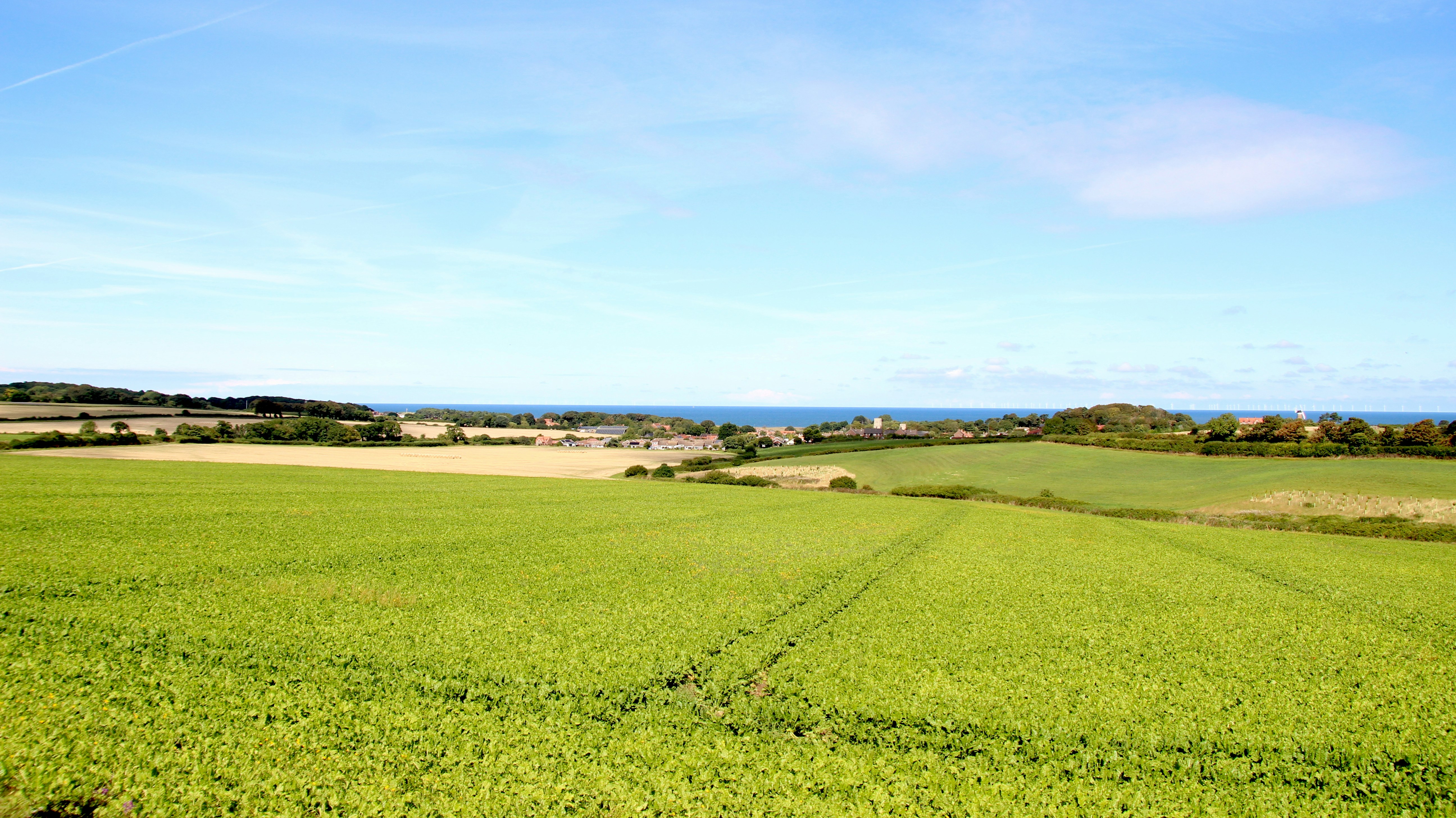 Vast green field overlooking a coastal village and blue sea