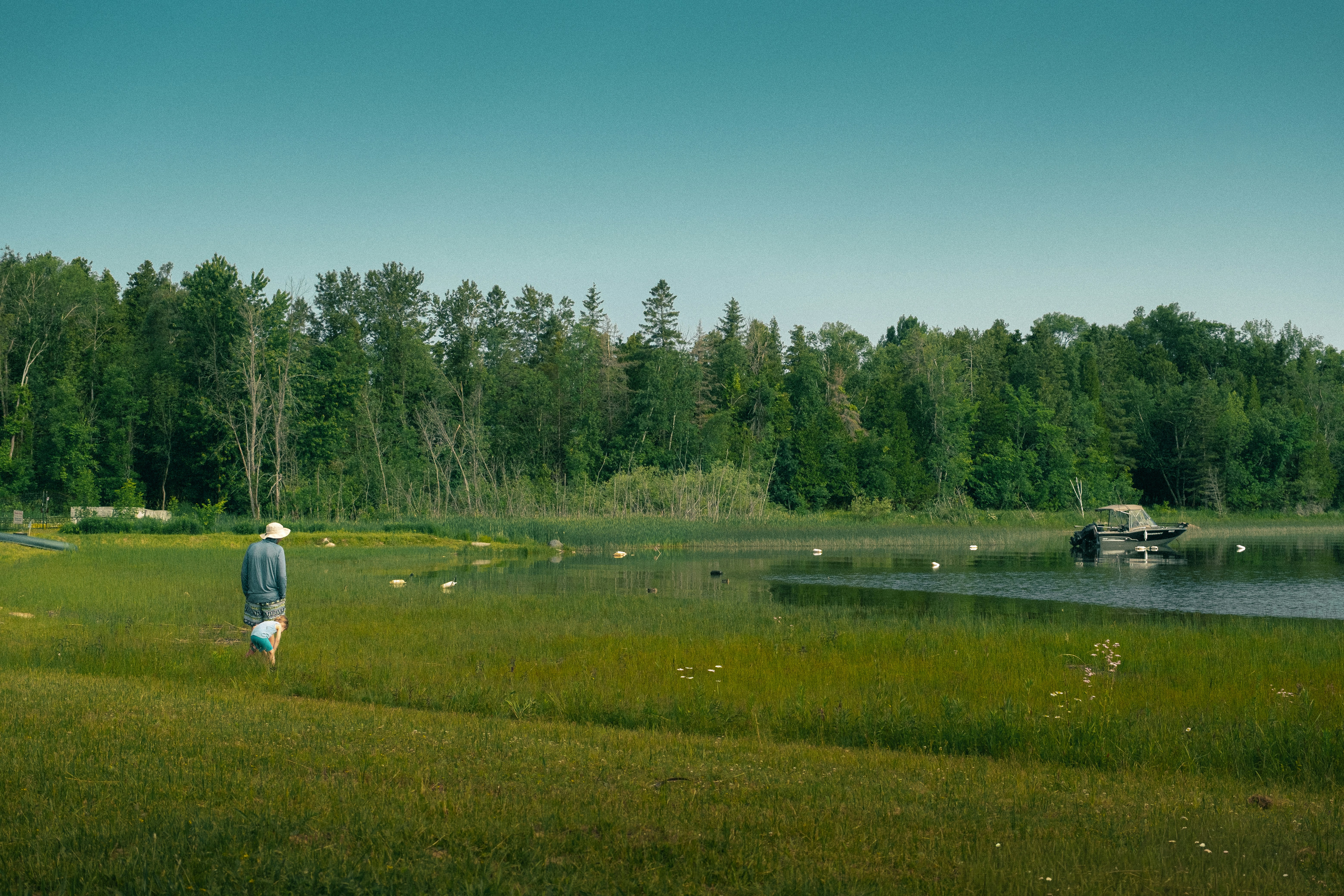 Person walking by a lake with forest in background.
