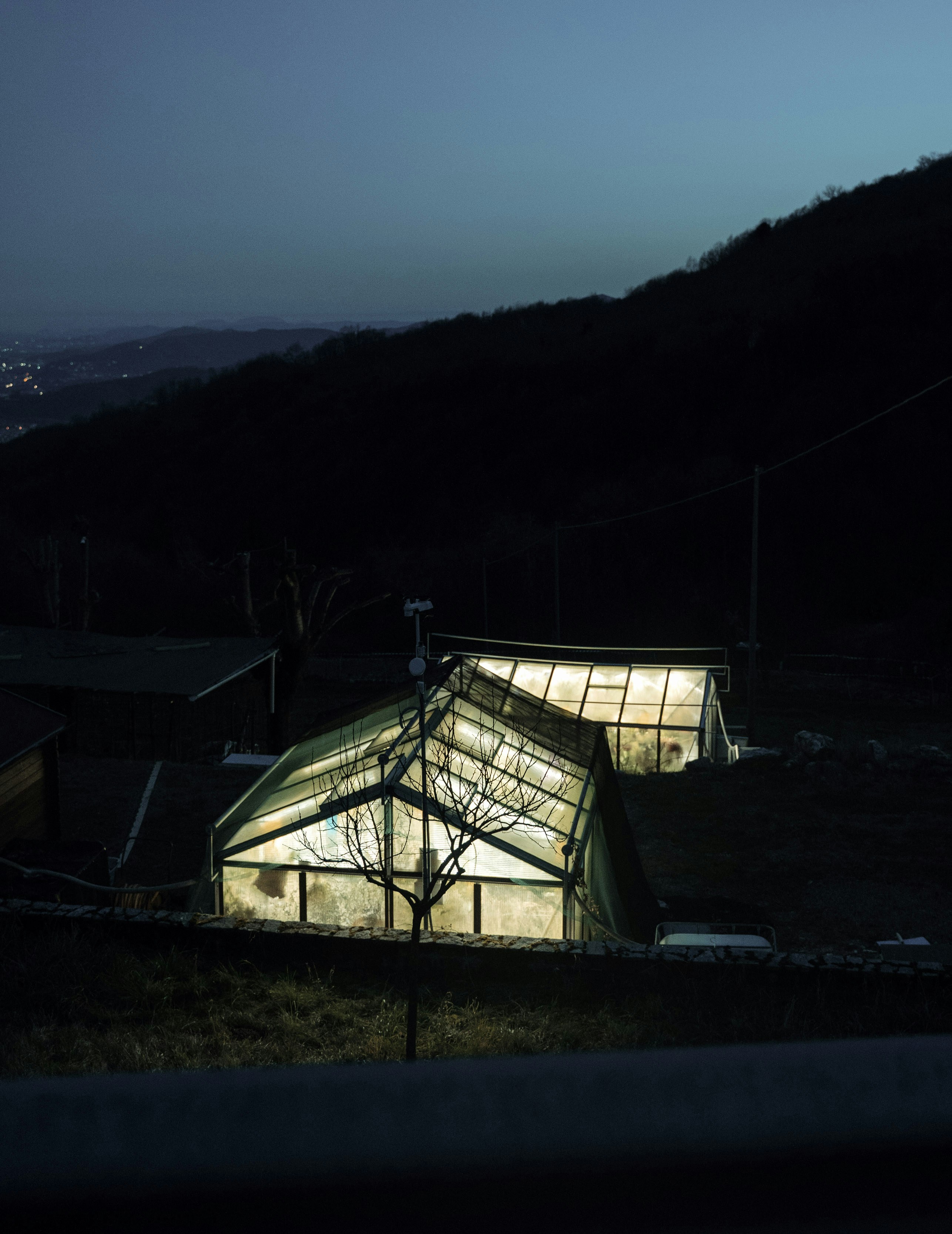 Two illuminated greenhouses glow brightly against a dark night sky