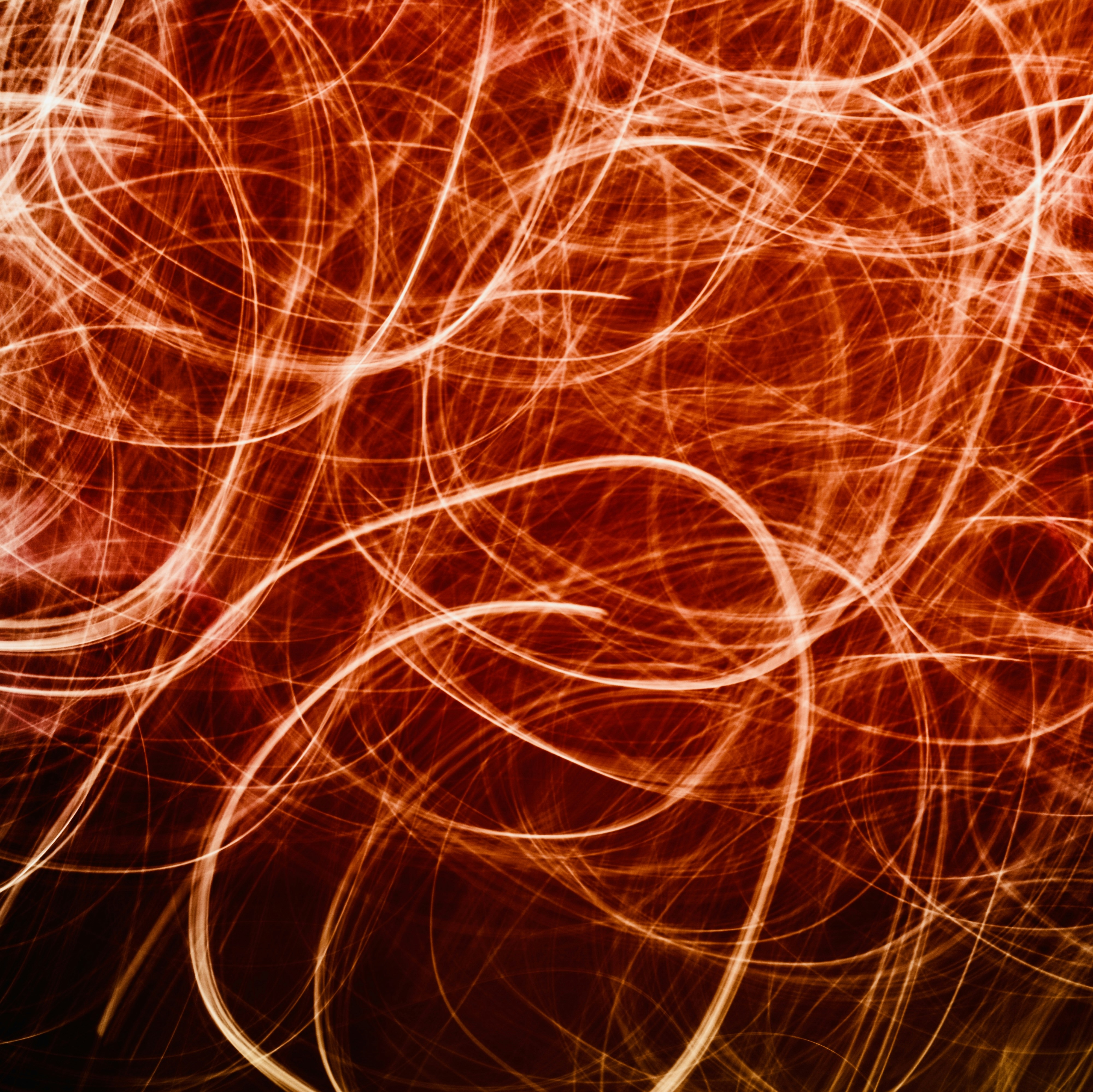 Motion portfolio image 1