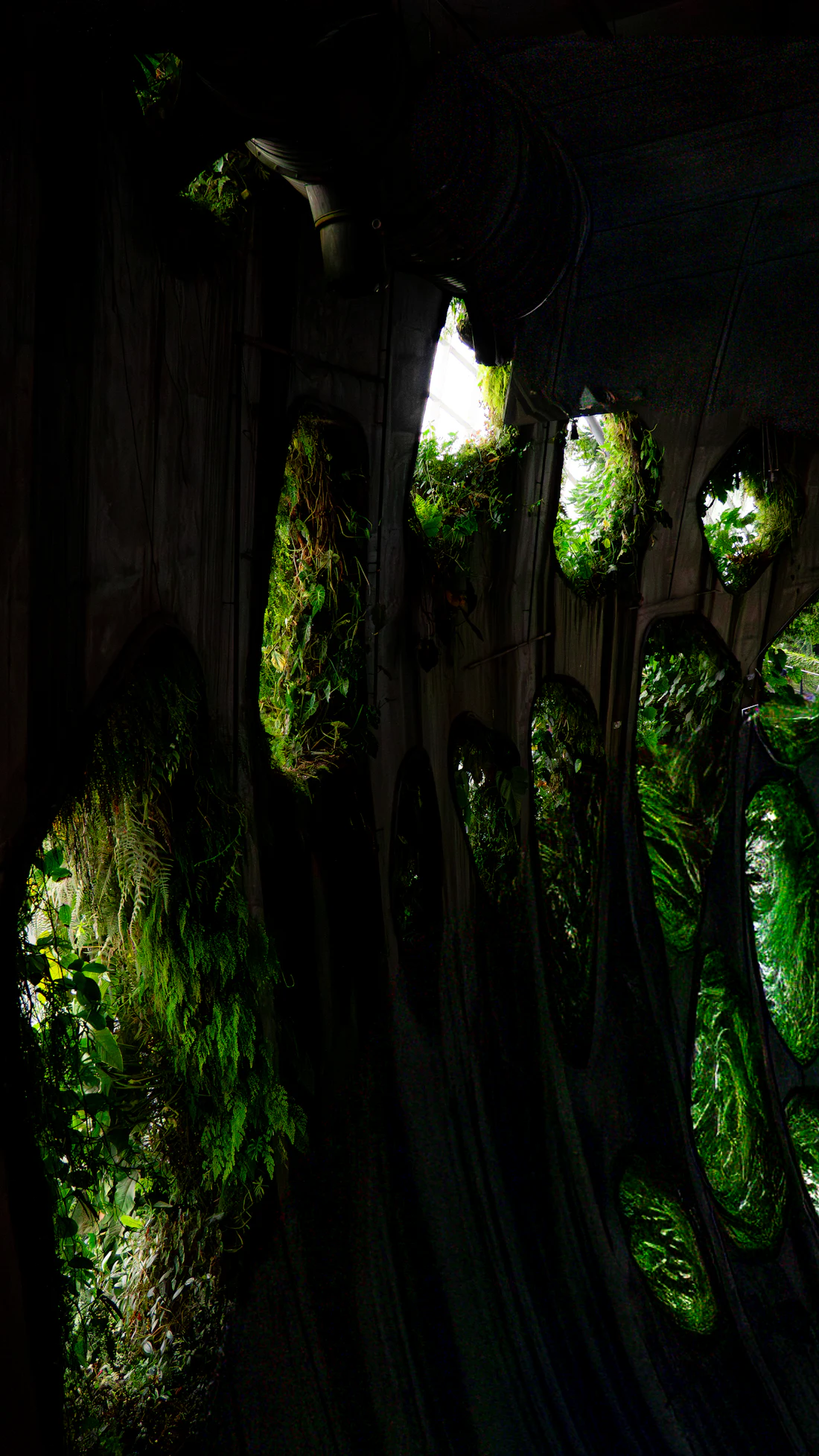 Interior escuro e orgânico com plantas nas aberturas