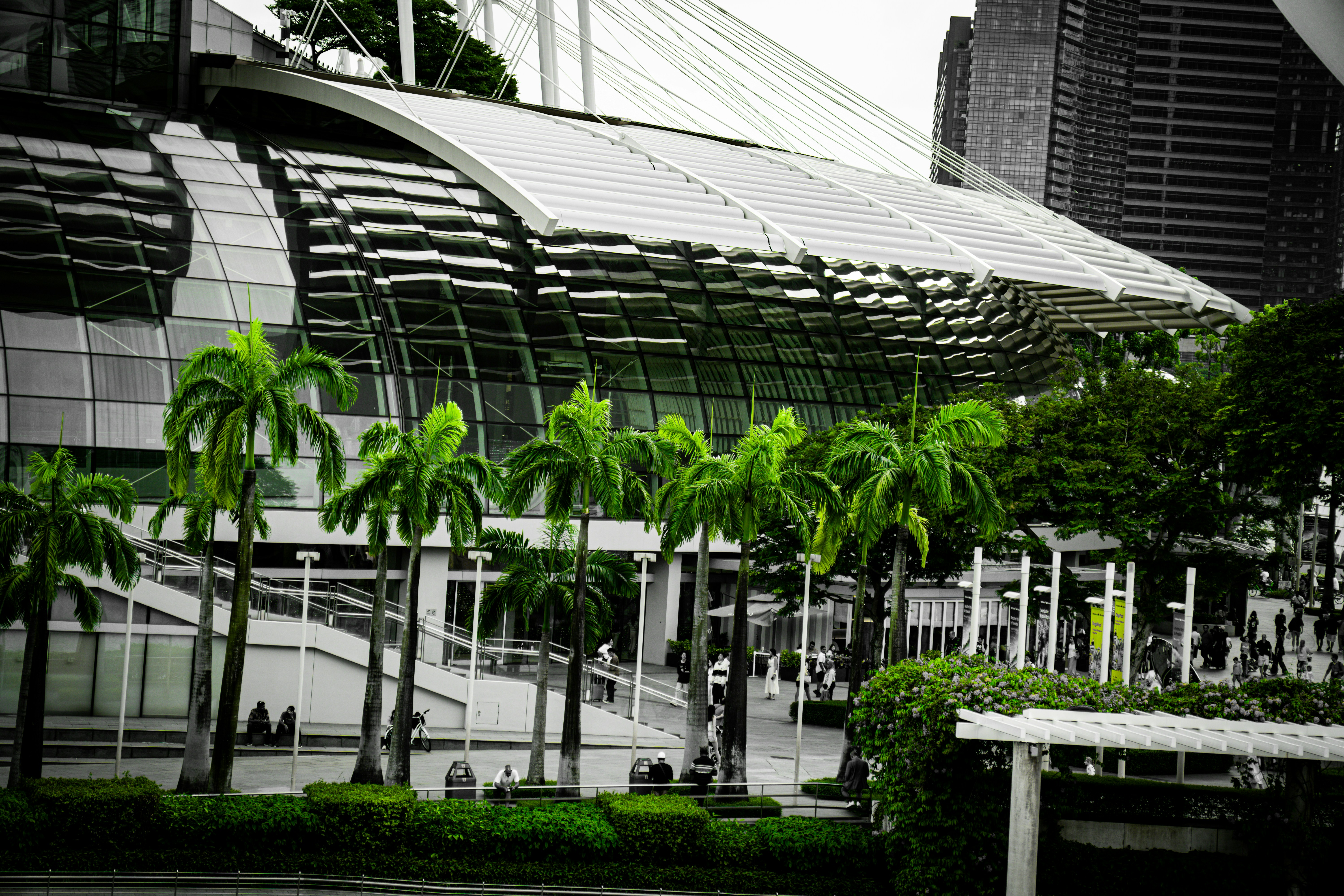 Green palm trees in front of a modern building