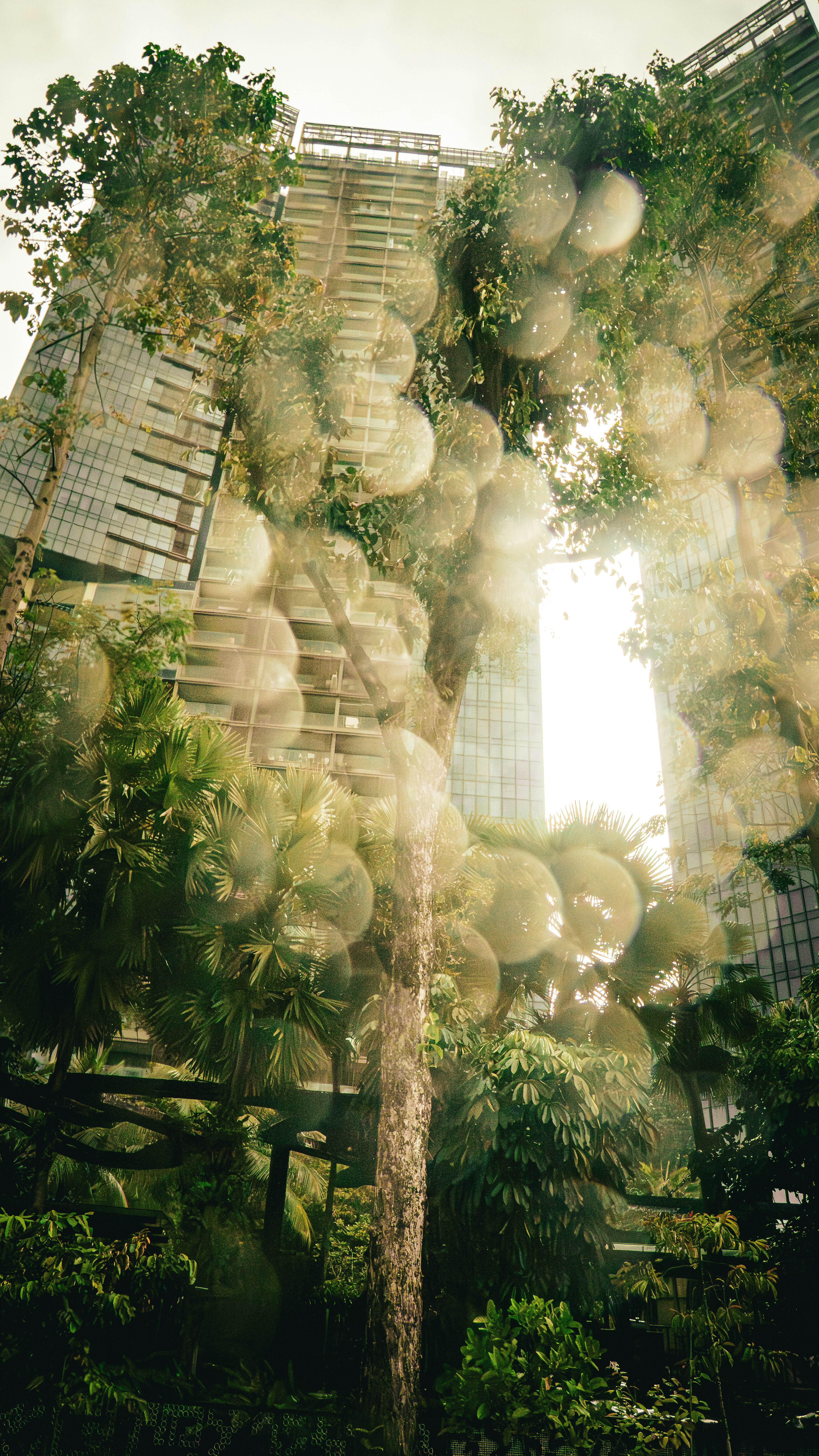 Modern buildings with lush green trees and bokeh light
