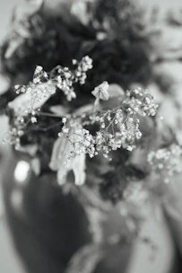 Delicate white flowers against a blurred background in monochrome.
