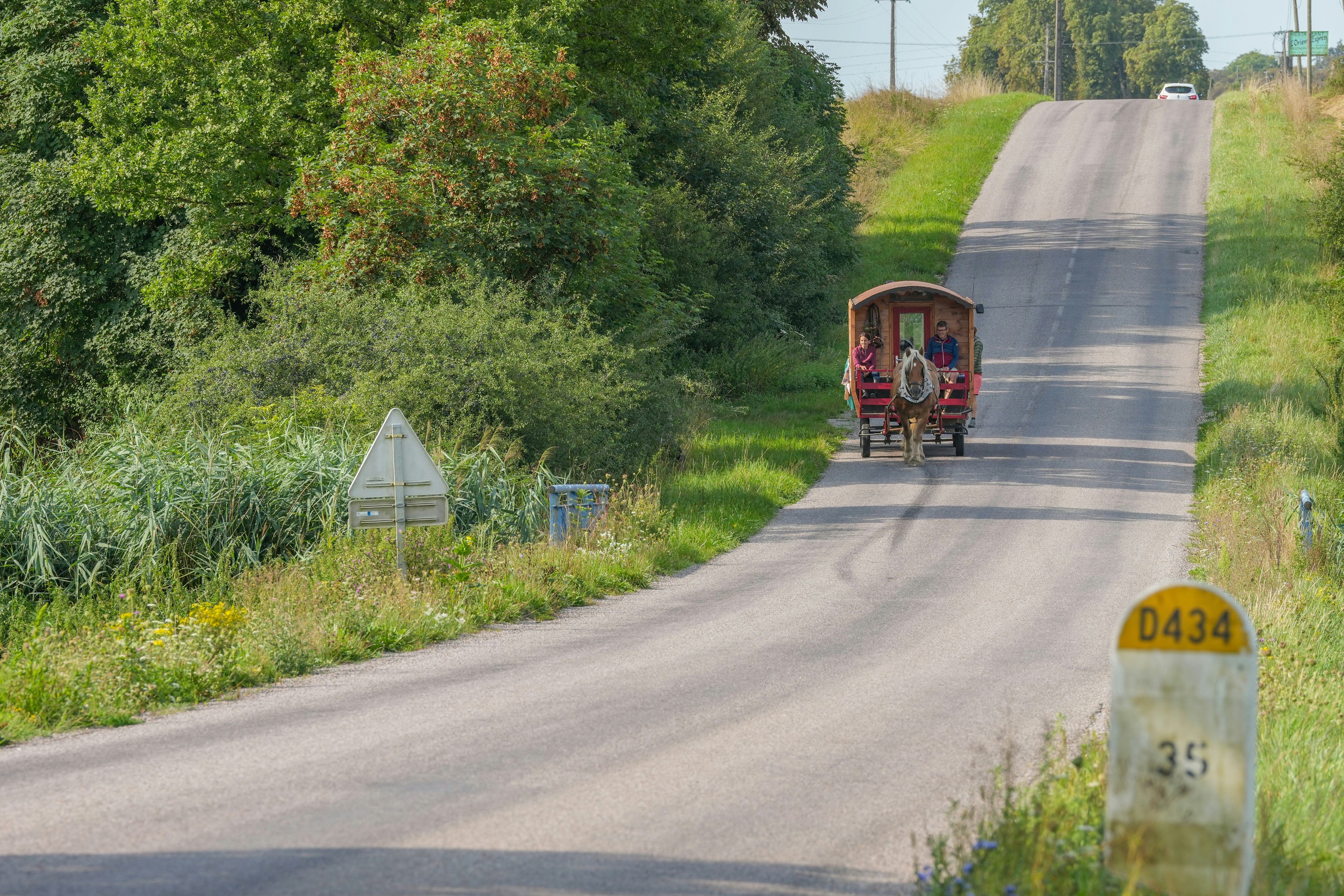 A horse-drawn wagon travels up a country road with trees.