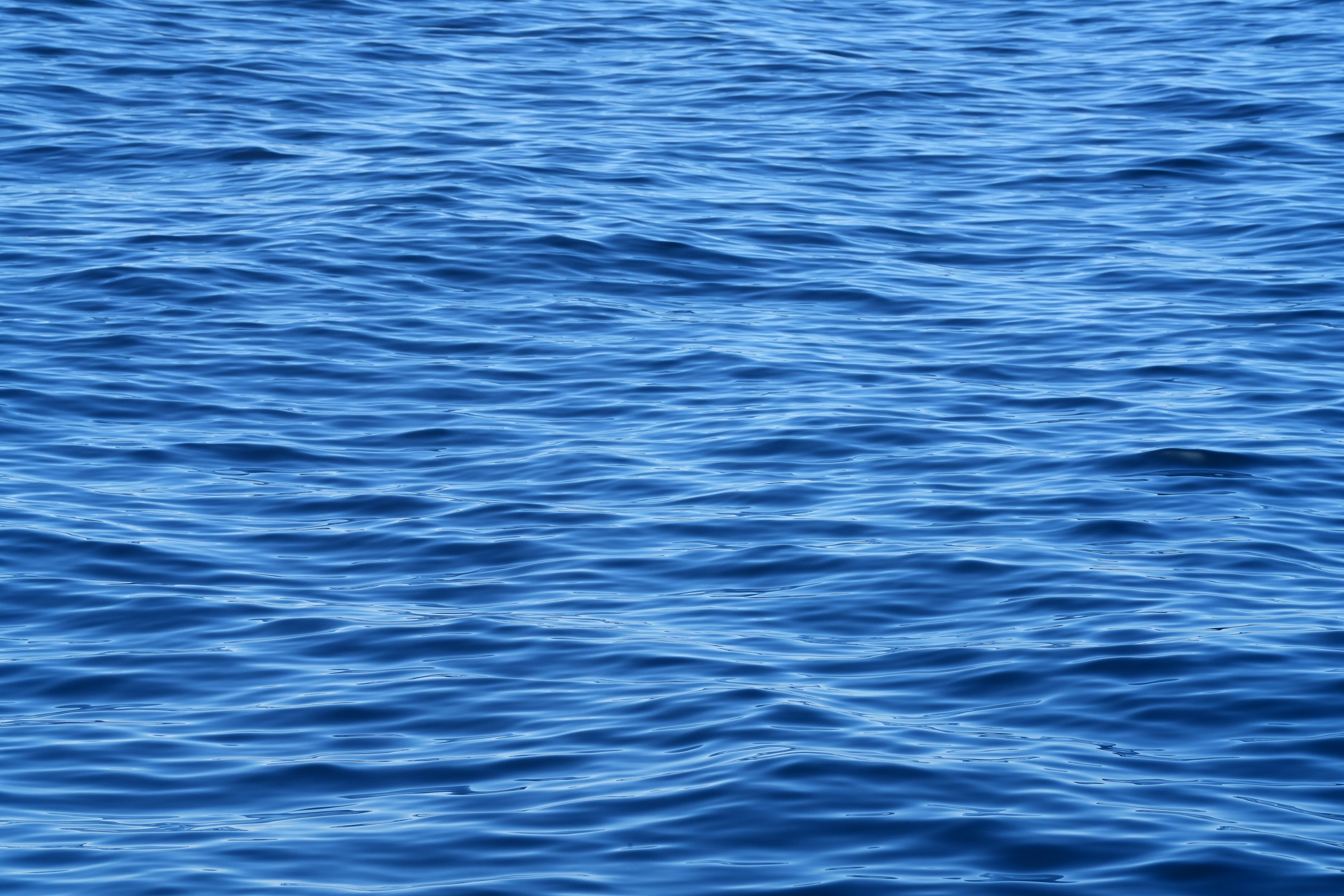Blue water with small ripples on the surface.