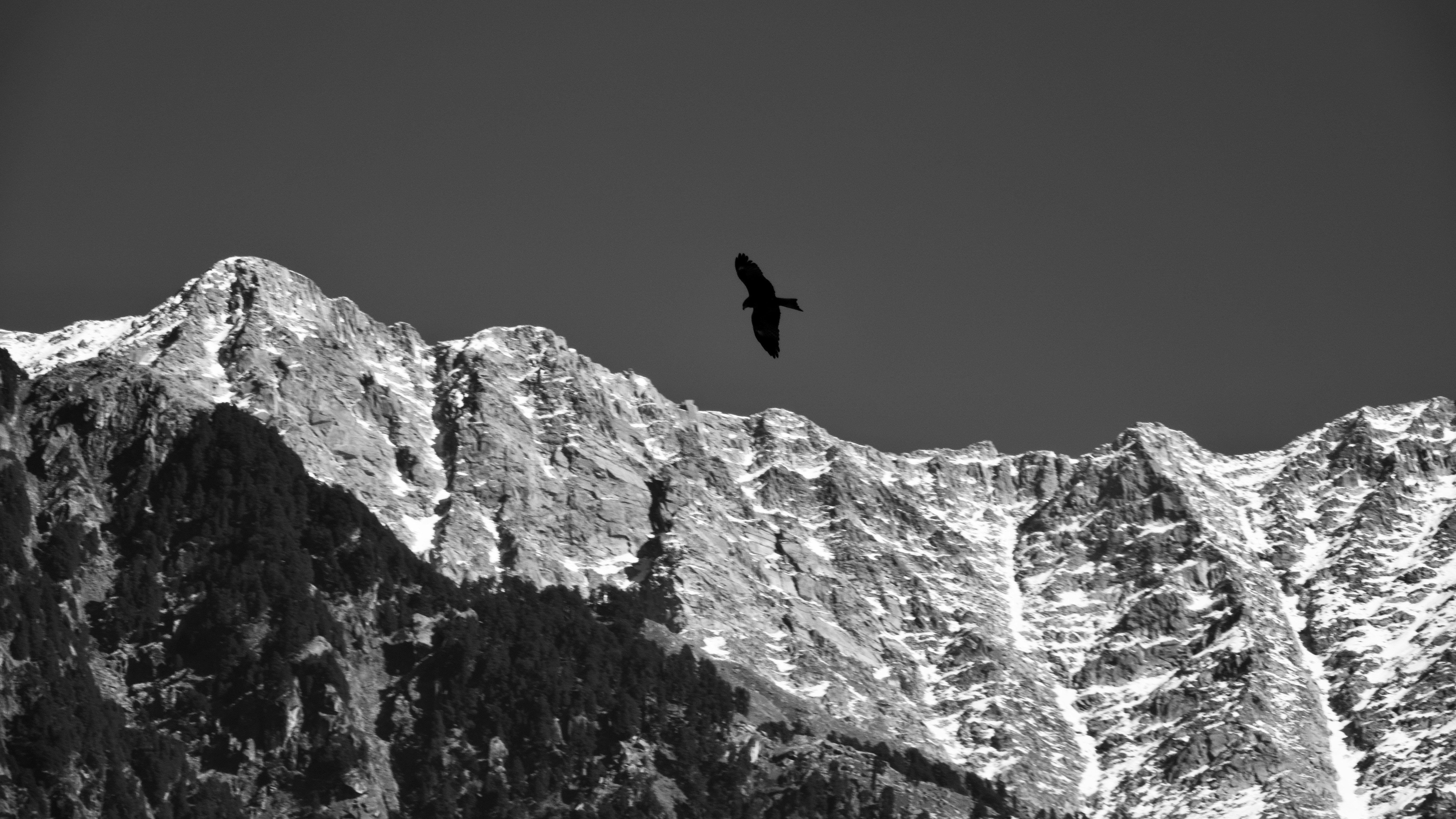 Un uccello vola sopra maestose montagne innevate sotto un cielo limpido.