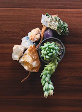Succulent plant and colorful crystals arranged on dark wood