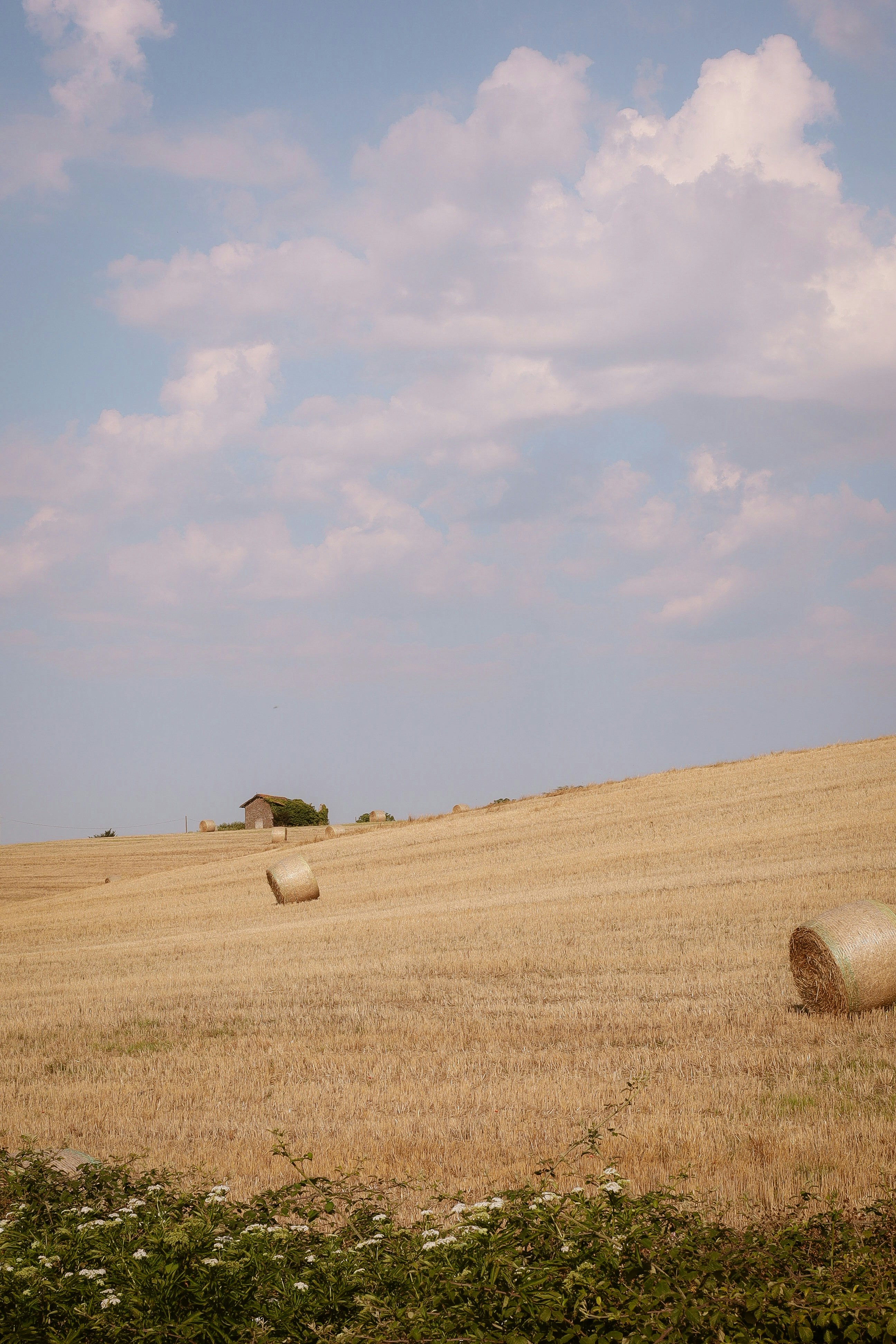 Golden hay bales in dry field, distant building