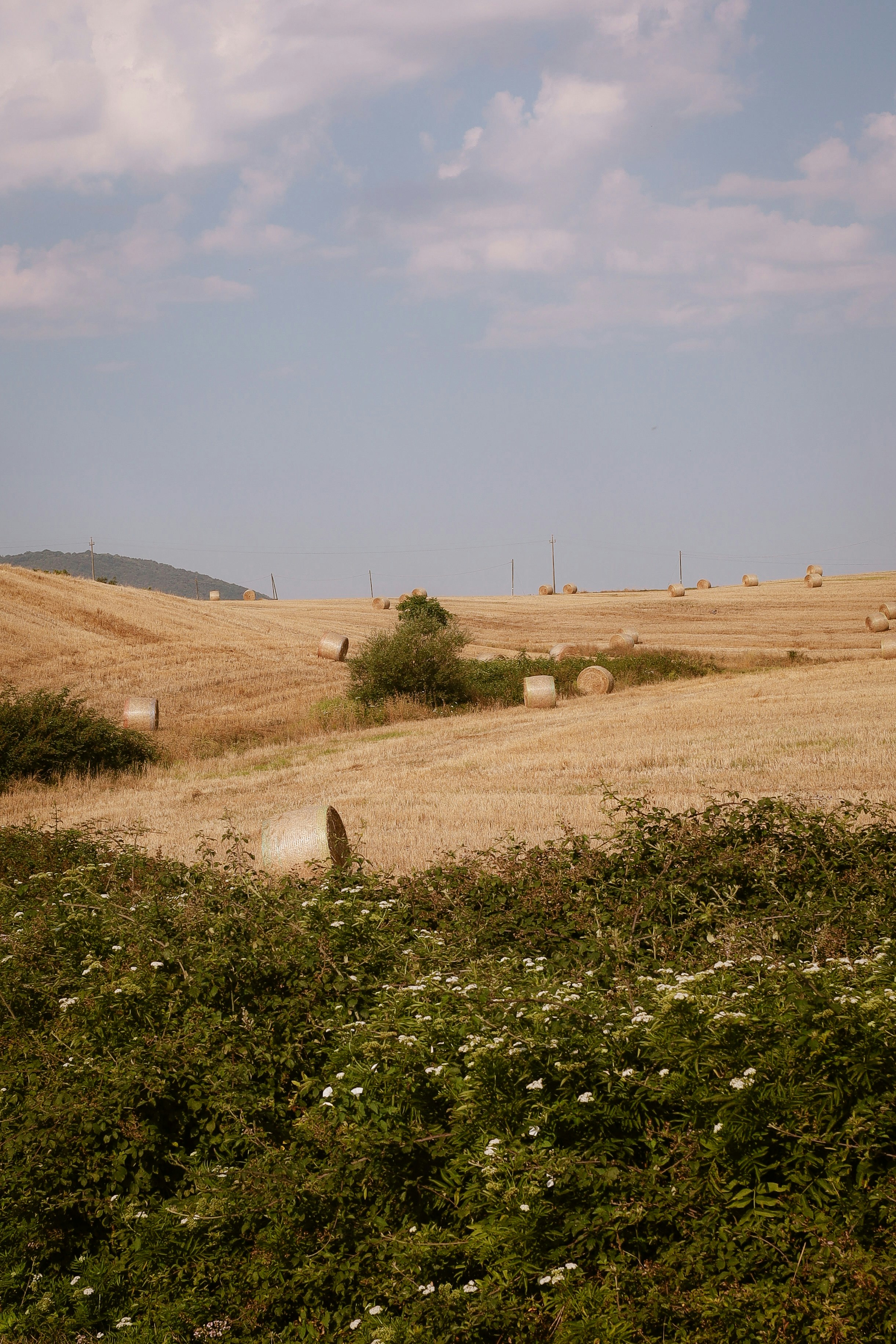 Golden harvested fields with hay bales and green foreground