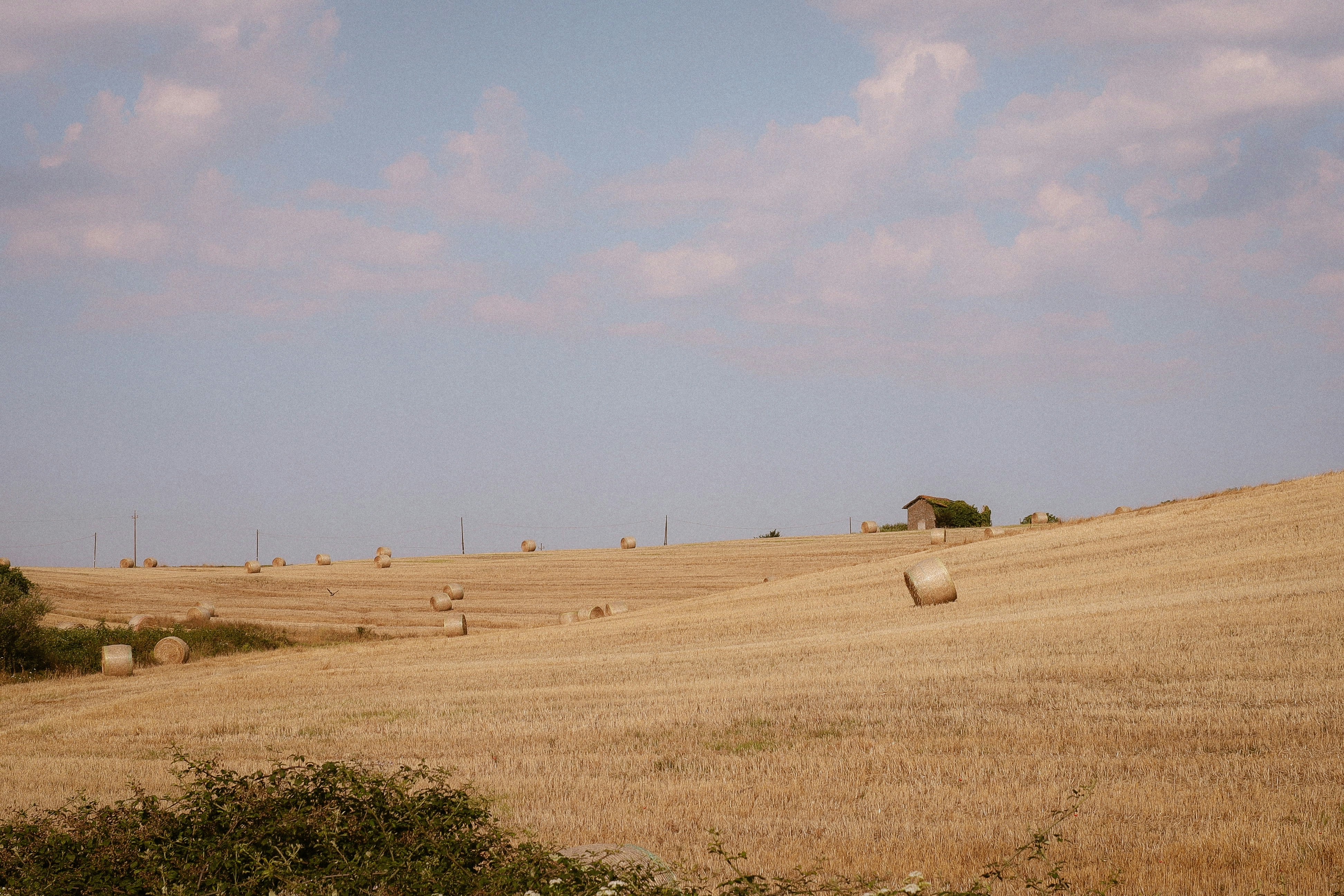 Rural landscape with hay bales and distant building