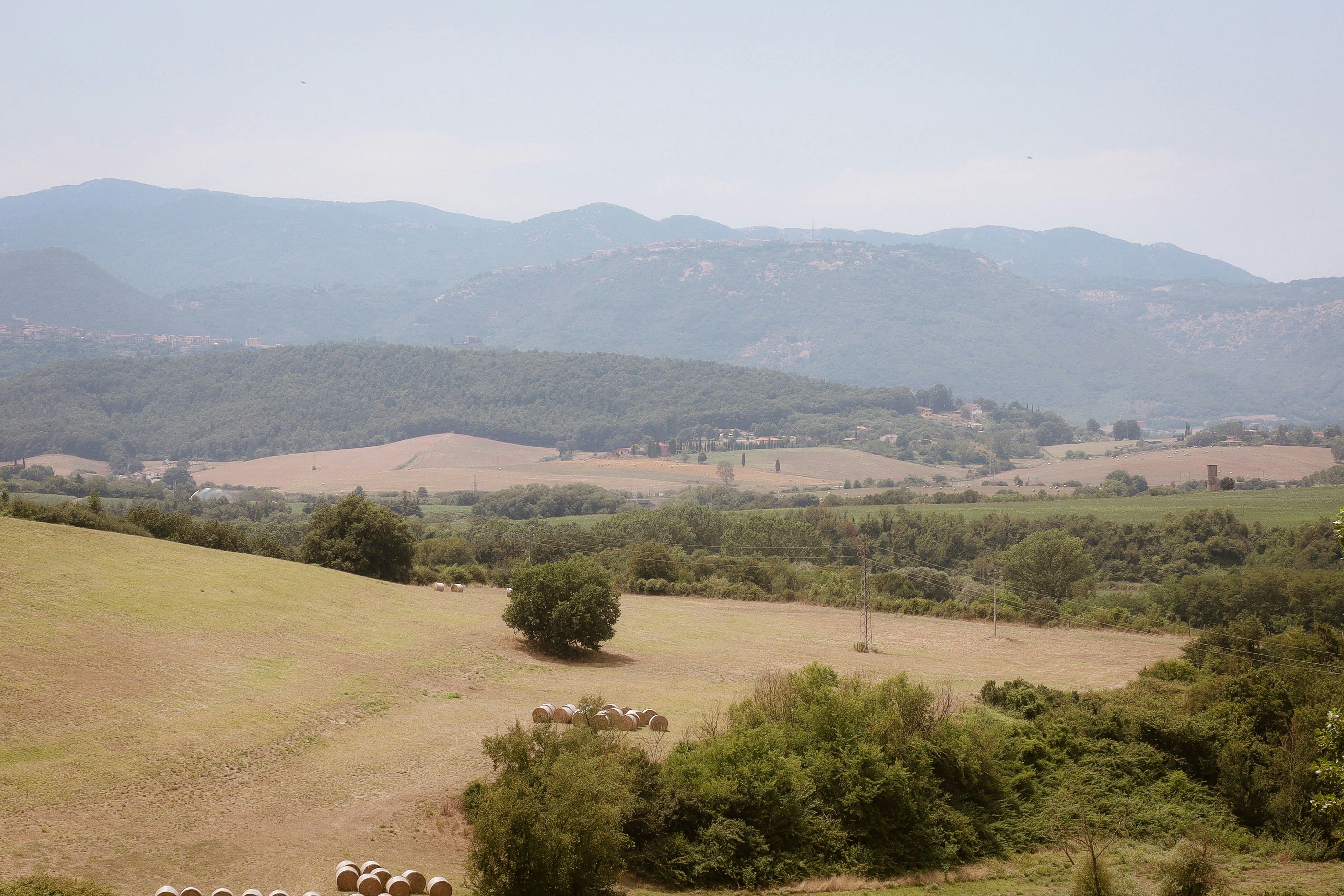 Rolling hills and fields with distant mountains