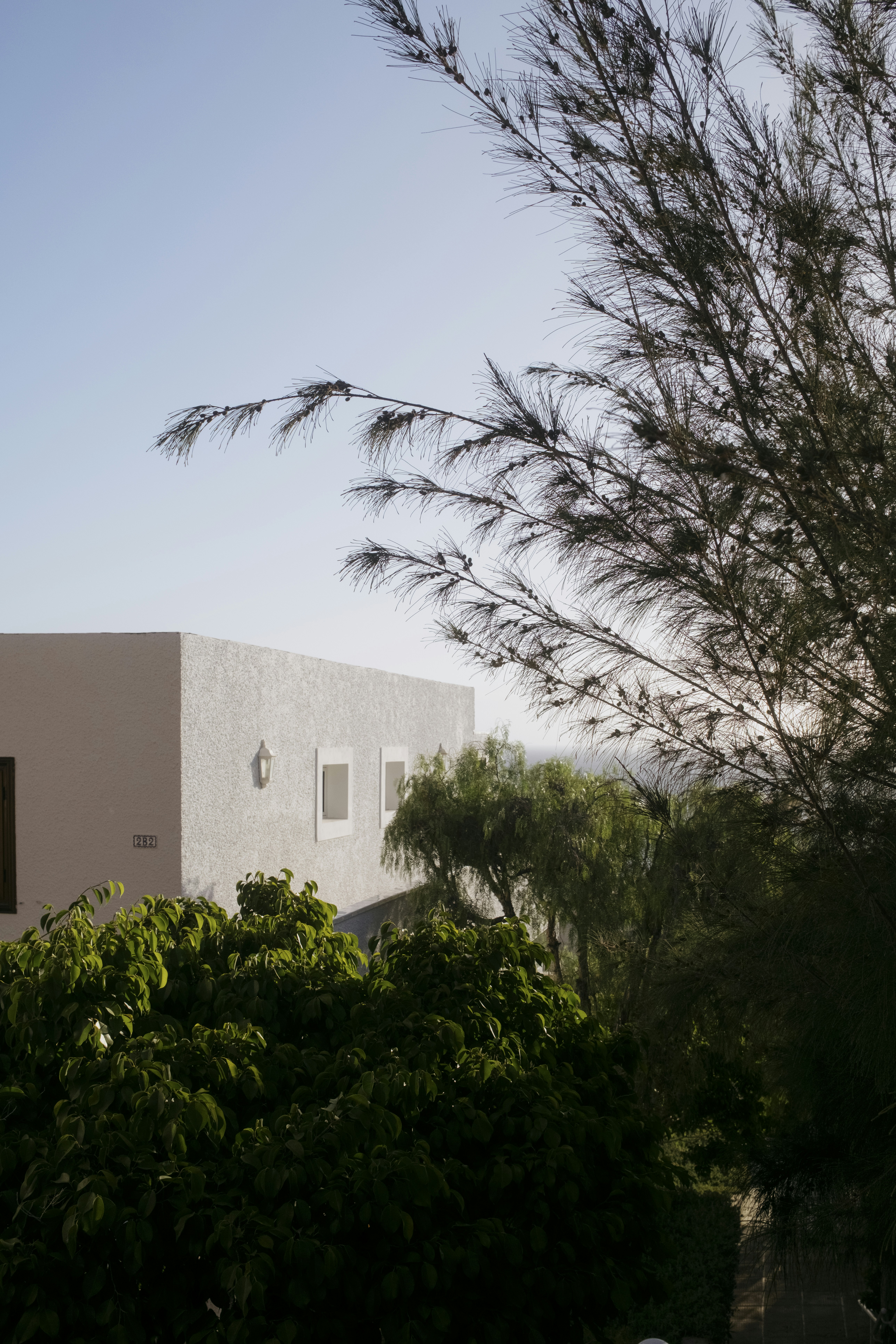White building surrounded by green trees under a clear sky.
