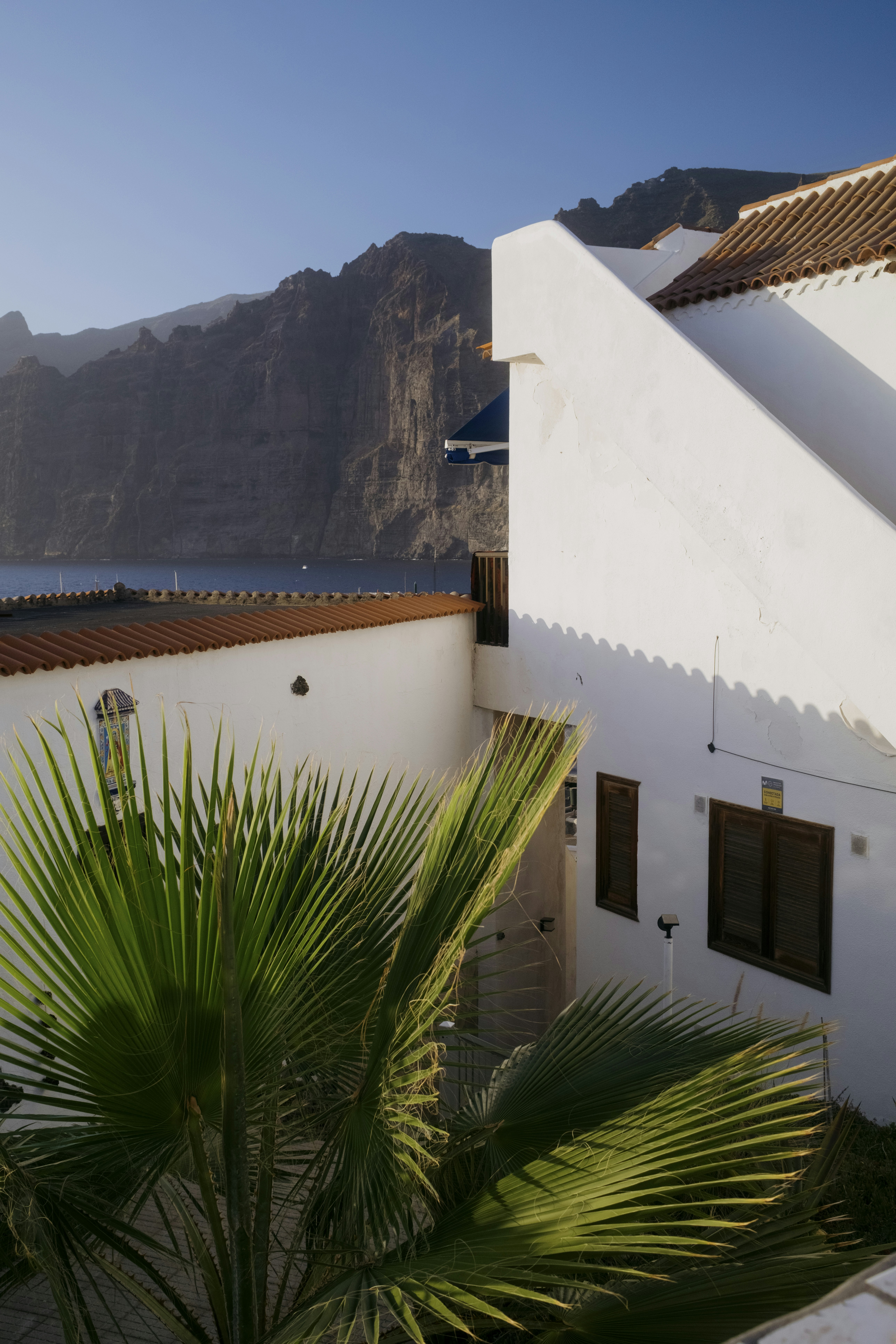 White building with palm tree overlooking cliffs and ocean.