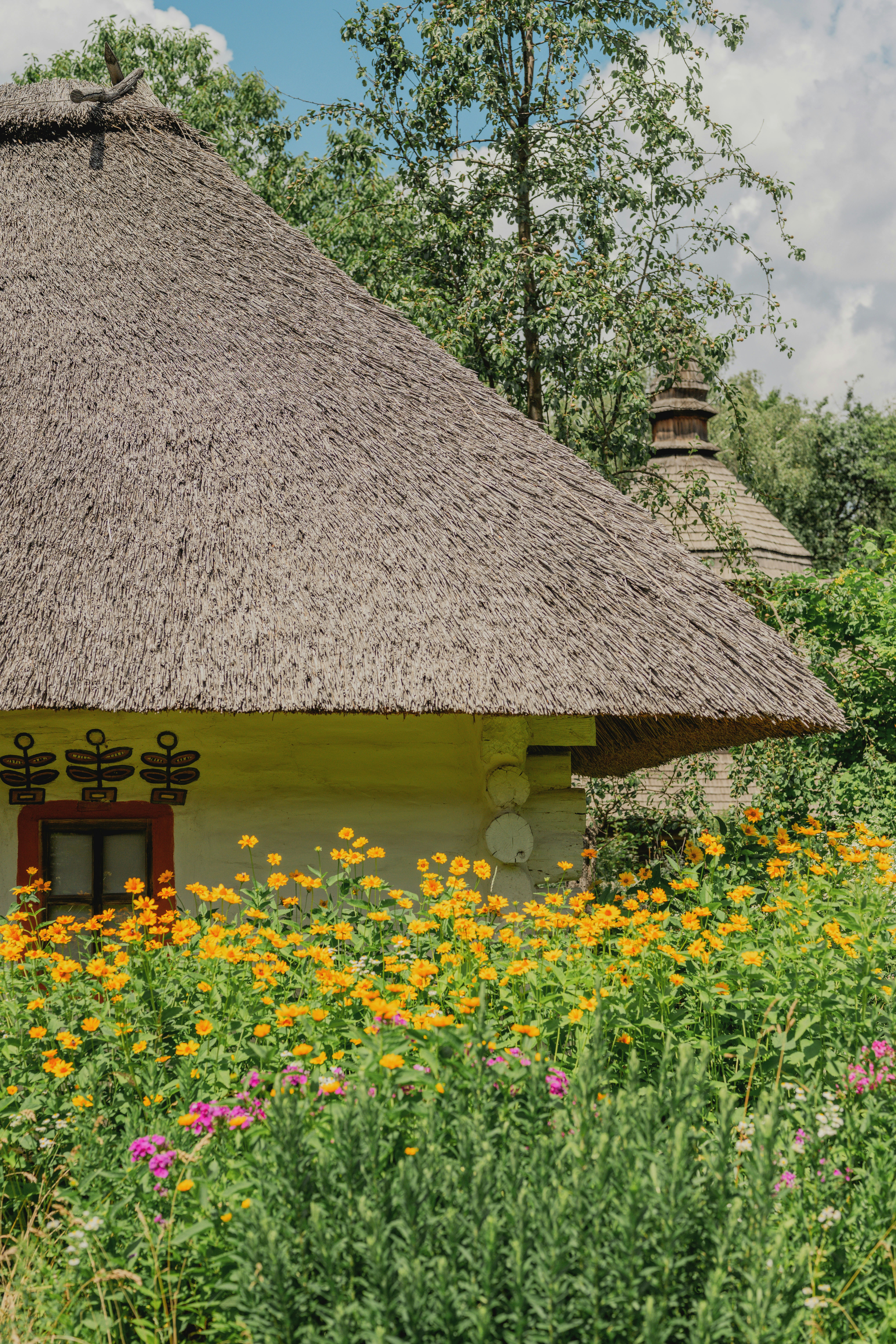 Casa rústica com telhado de palha cercada por flores silvestres coloridas.