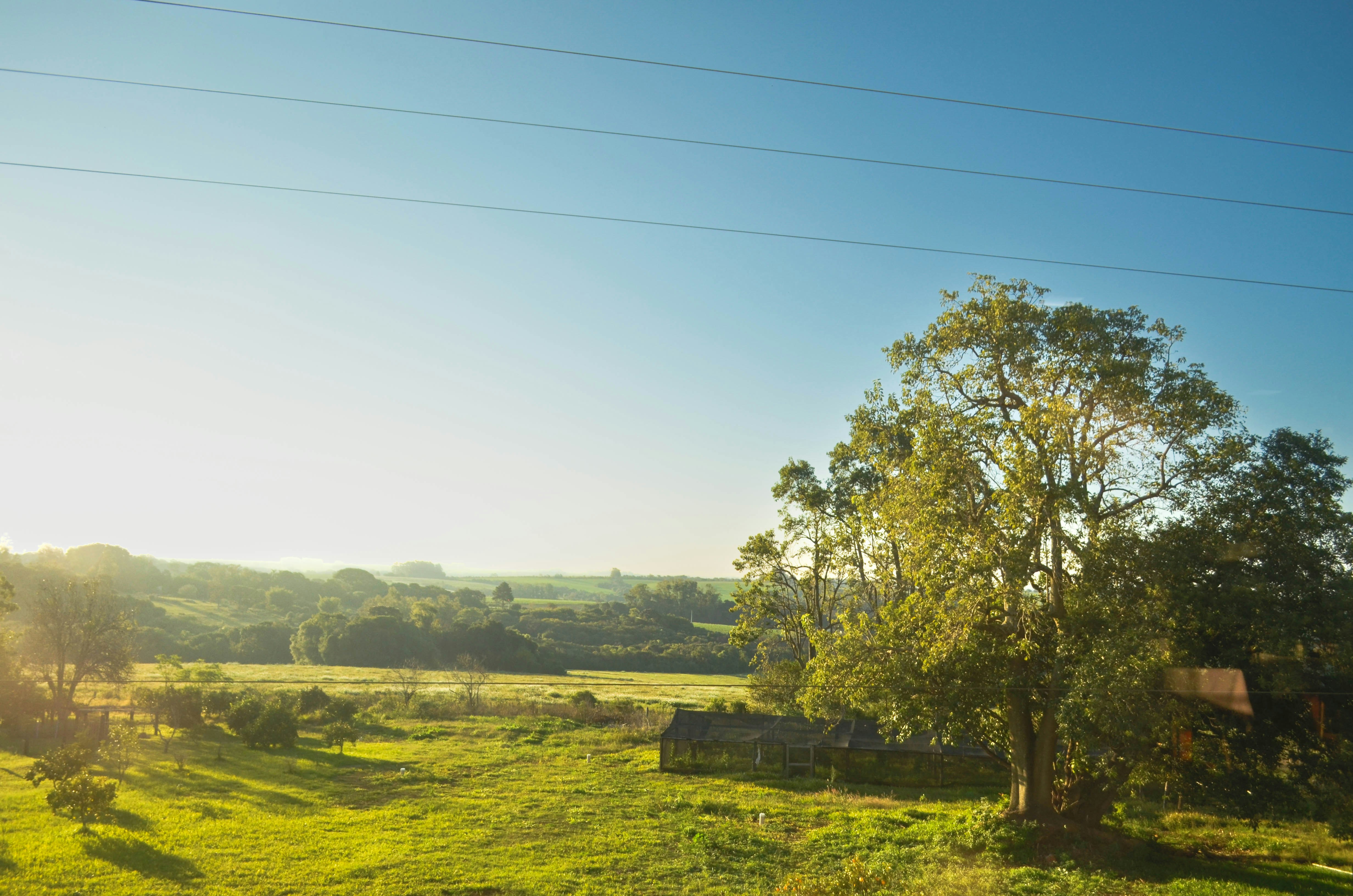 Panneaux solaires alignés dans un paysage clair