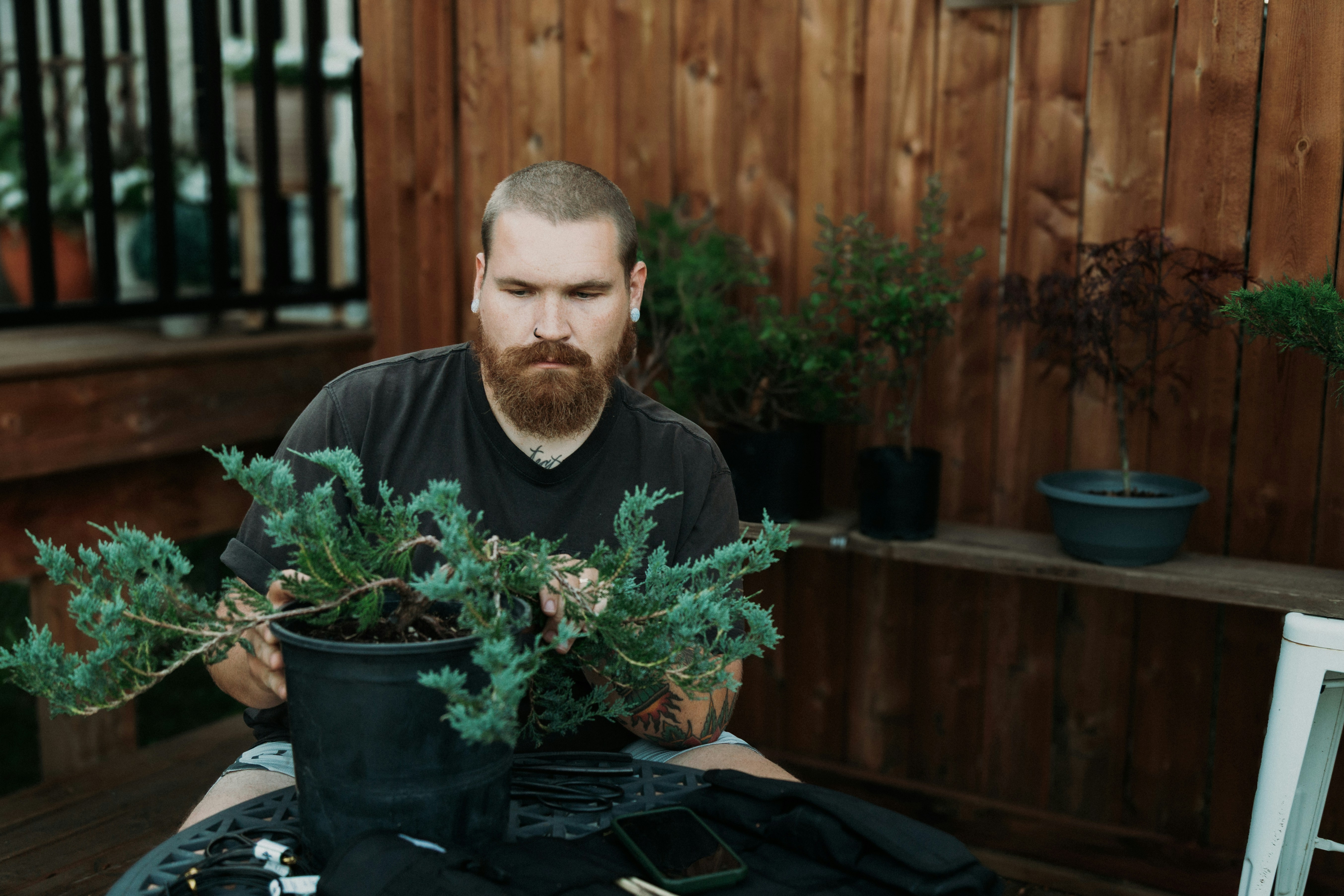 Bearded man holding a small potted plant