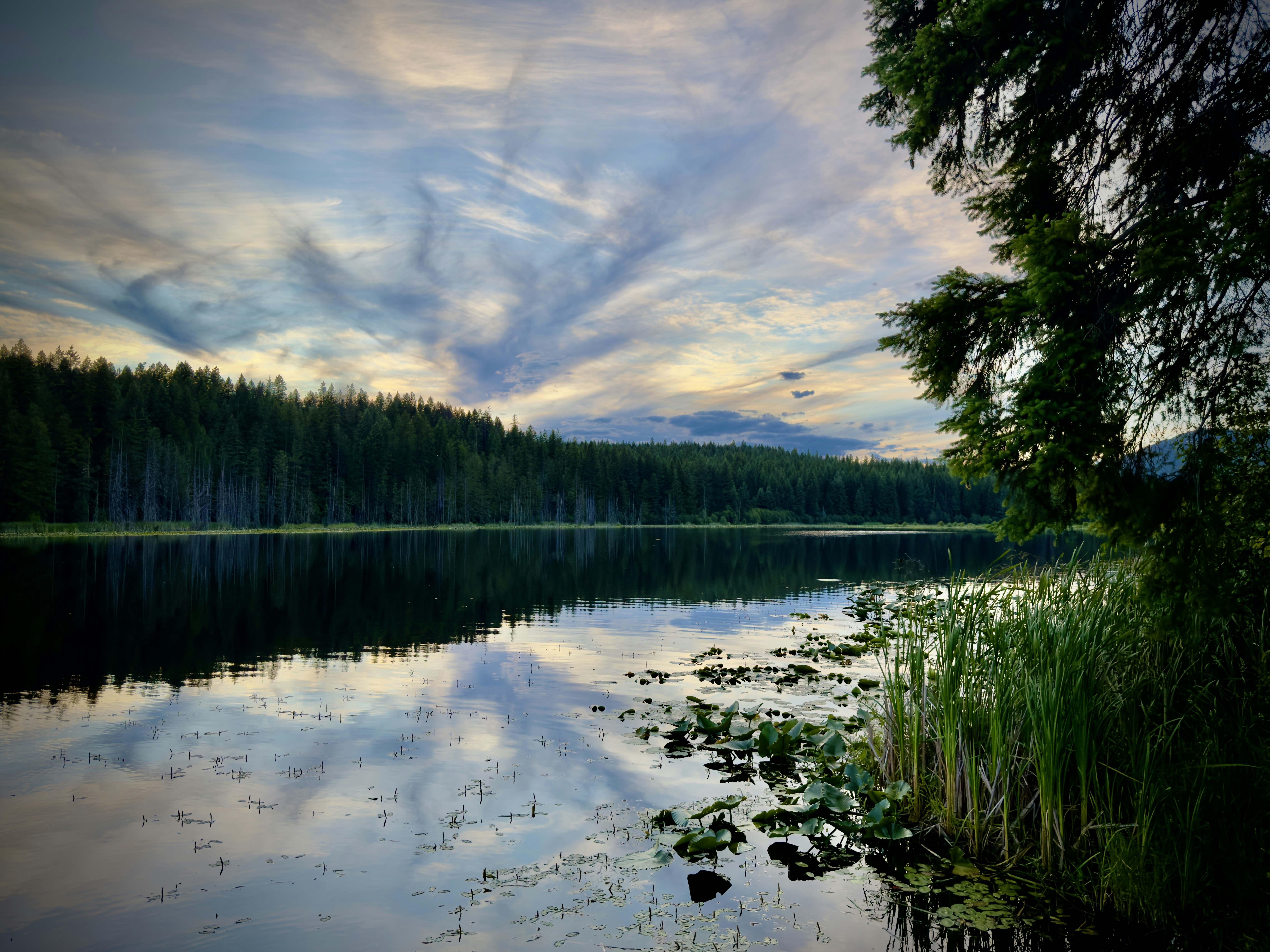 A serene lake reflecting a cloudy sky and surrounding forest.