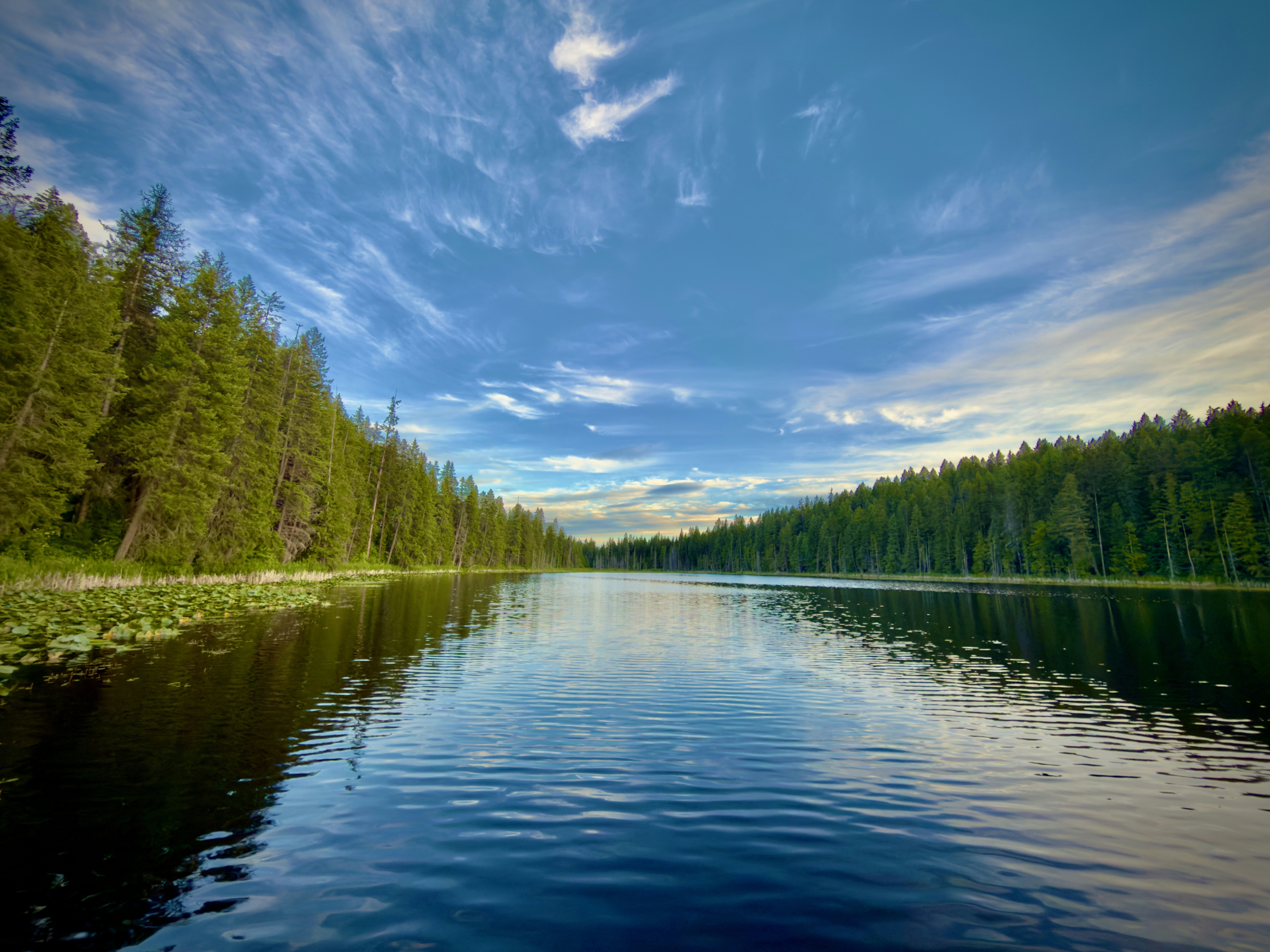 Calm lake reflecting blue sky and green forest.