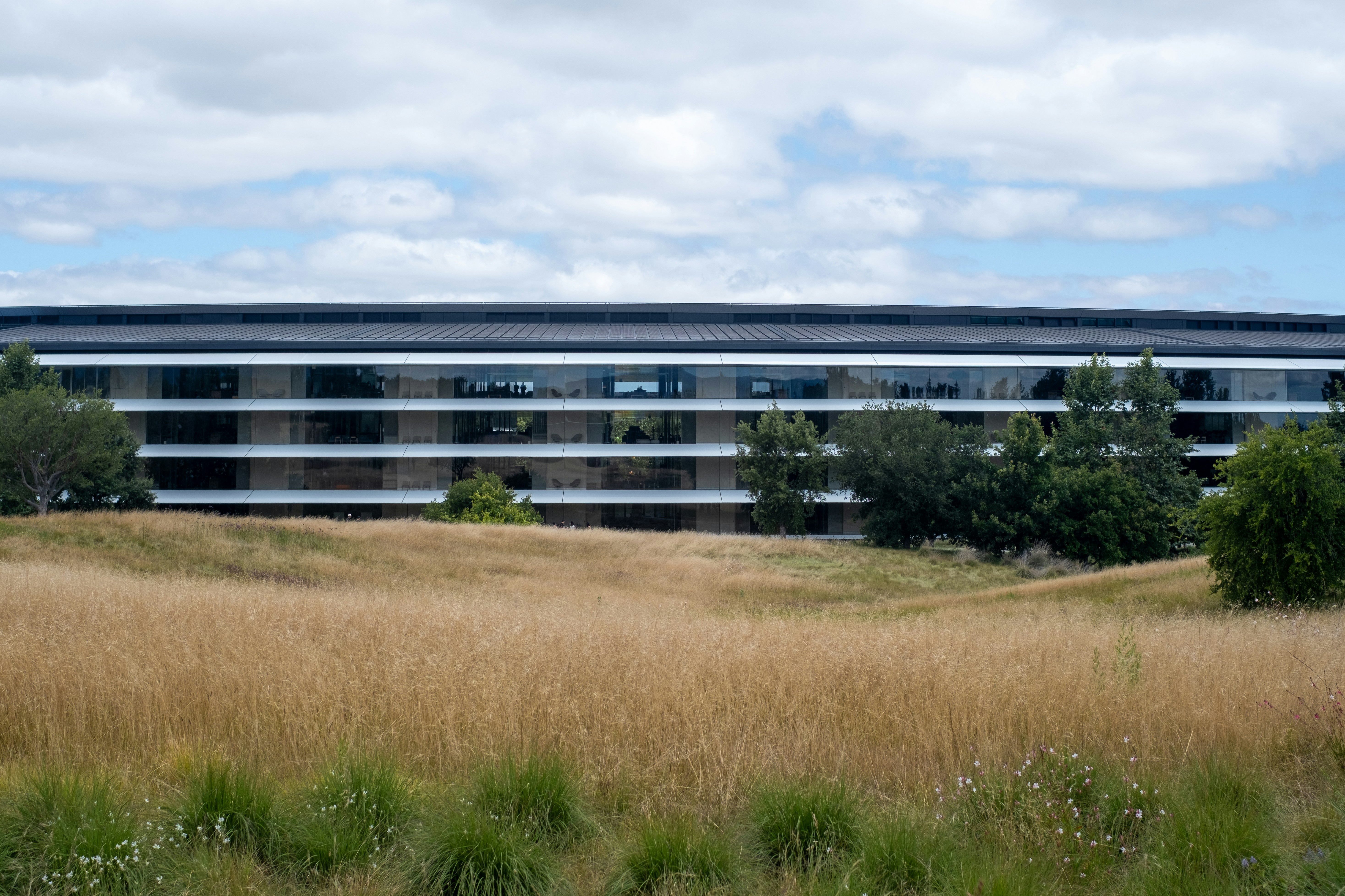Modern corporate building with a large field of dry grass.