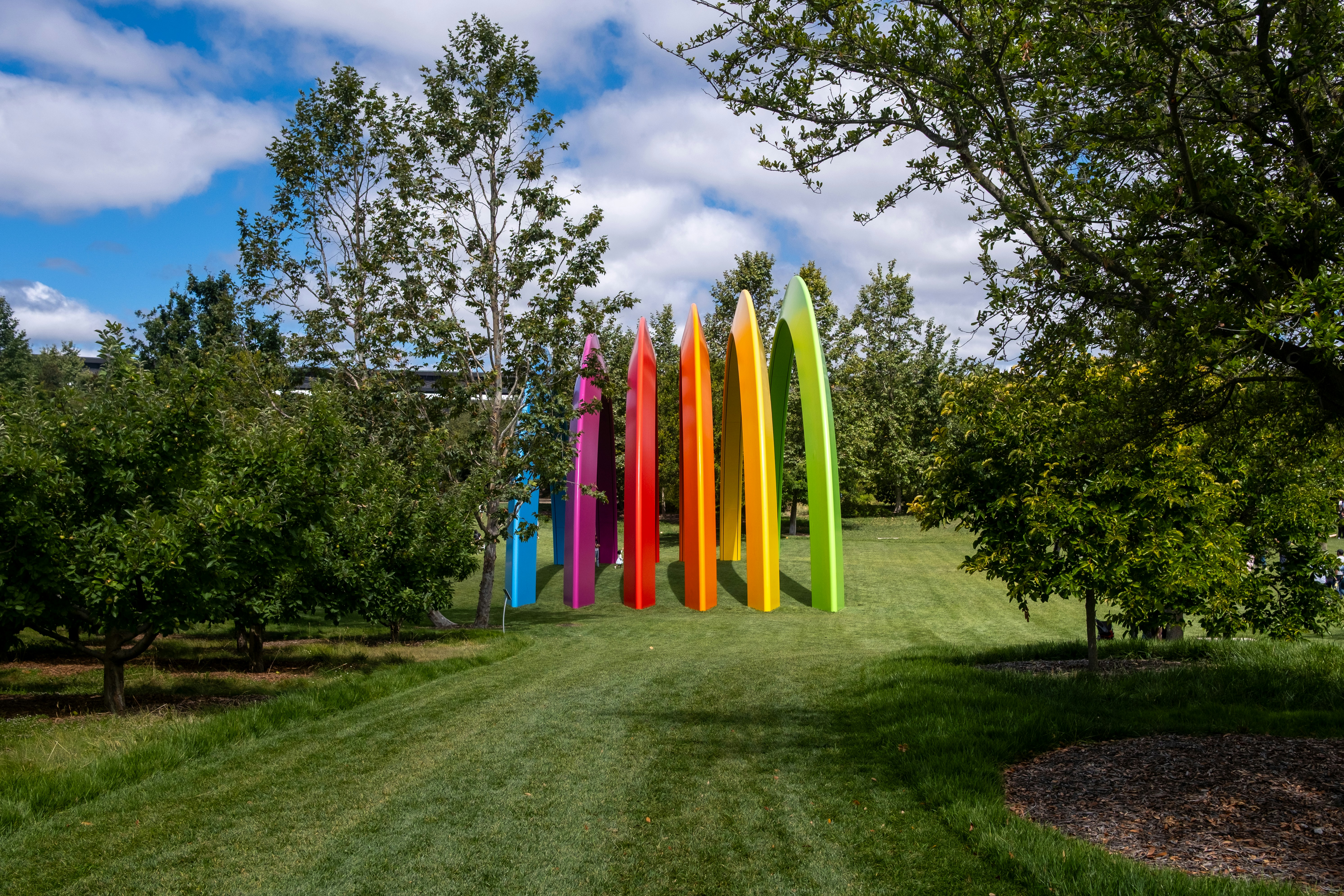 Colorful surfboard-like sculptures stand on a grassy hill among trees.