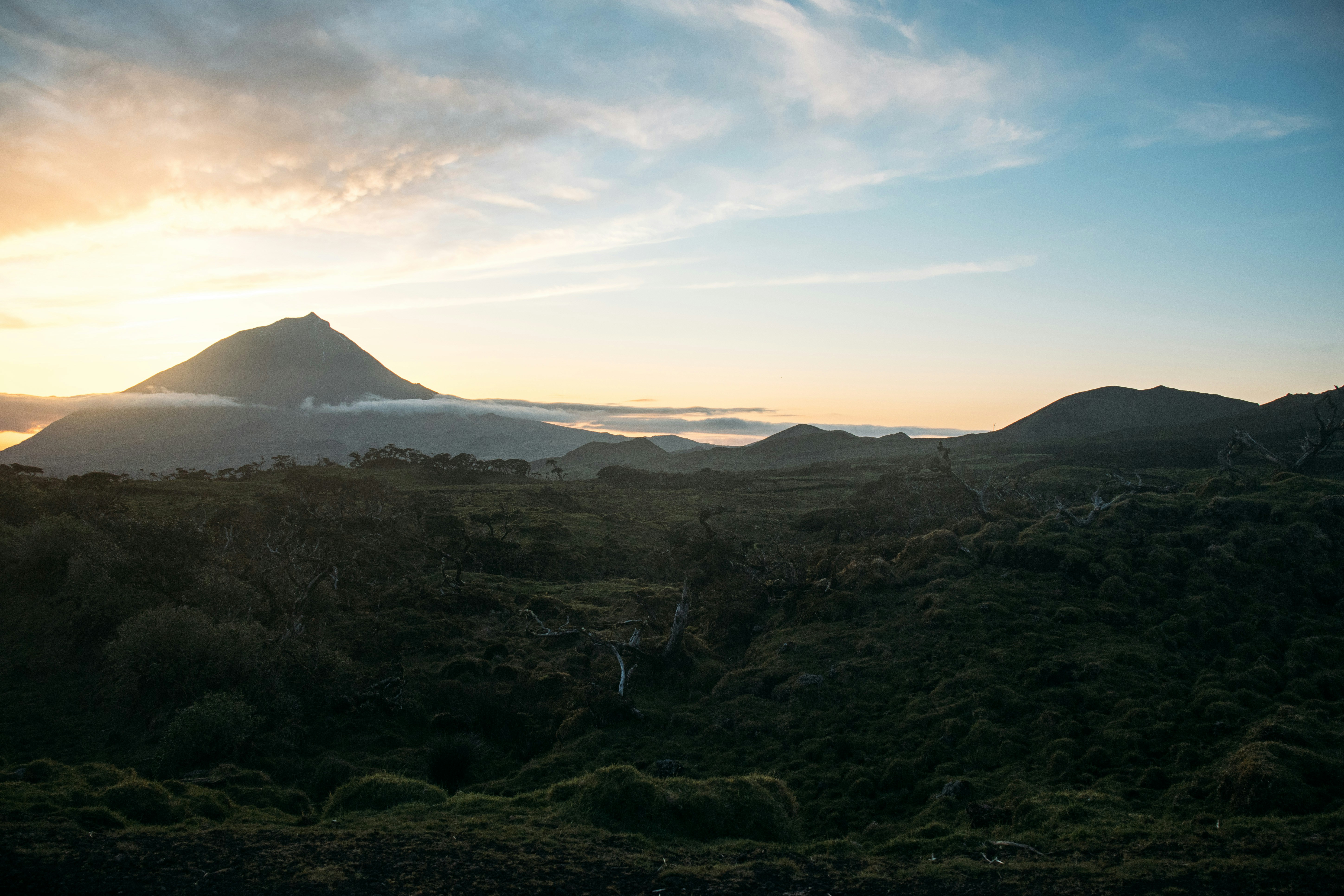 Remote Work Guide for Photography in Cape Town