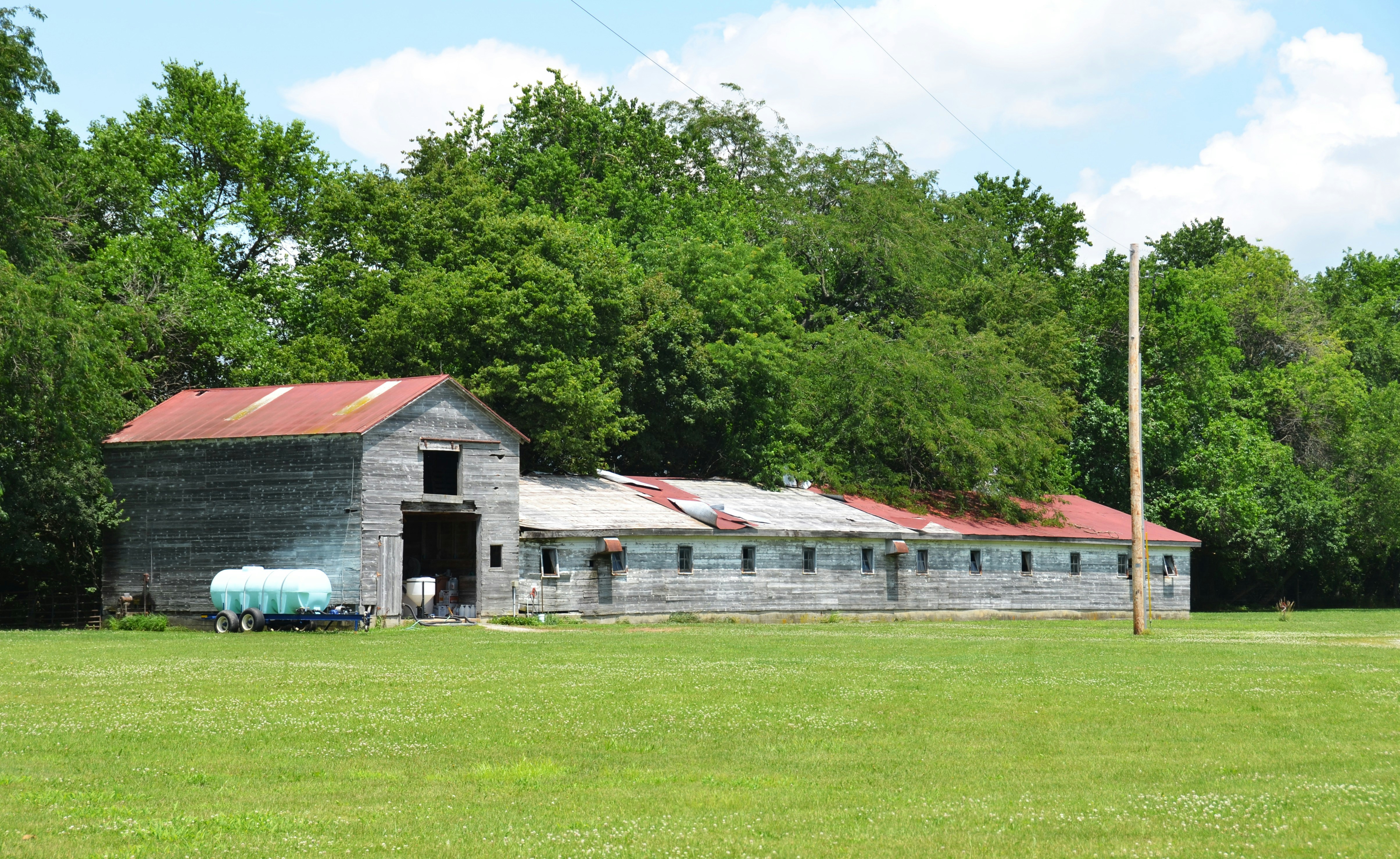 Weathered barn and long outbuilding in a sunny green field.