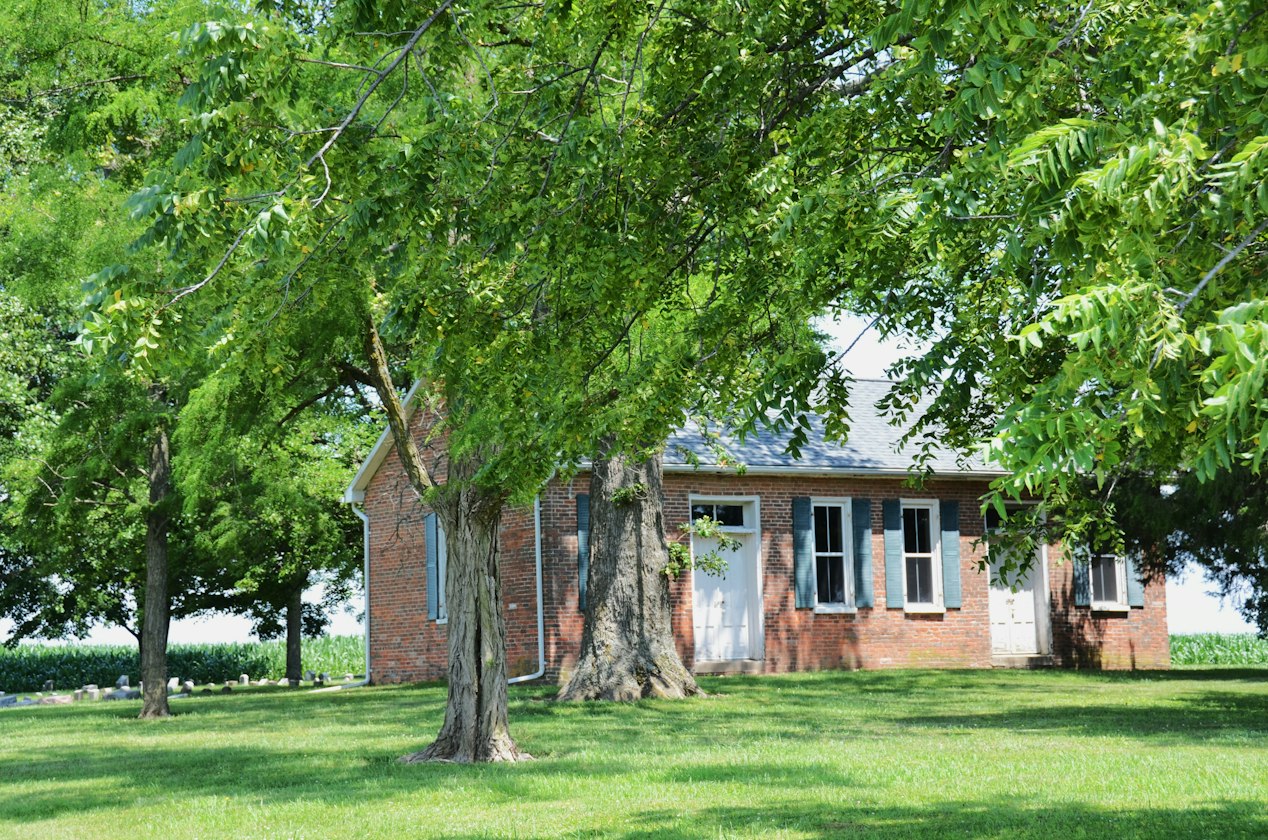 Arbour Meadows Neighborhood Guide: Mature Trees and a Quiet Savoy Setting | Max Mitchell
