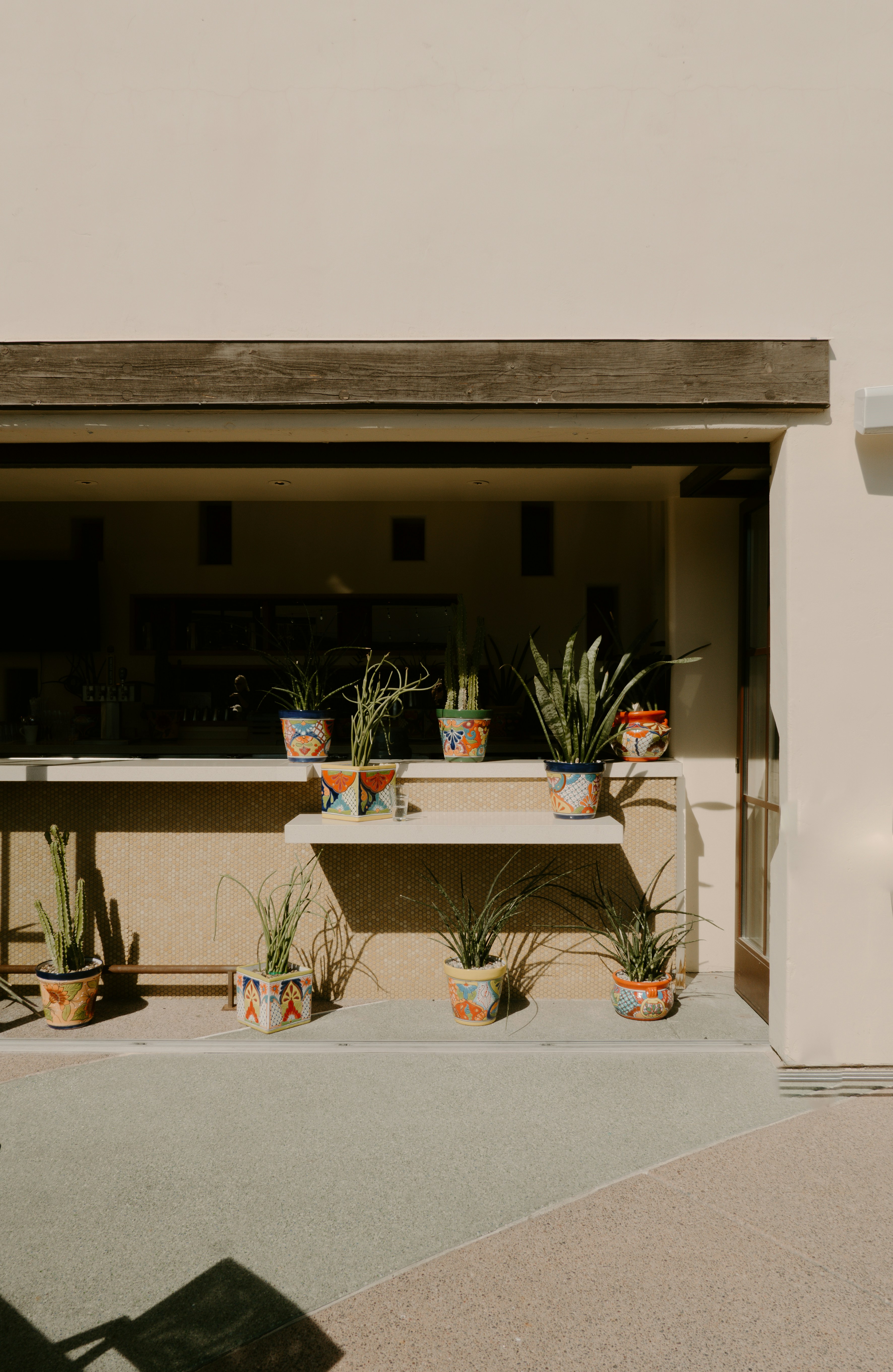 Colorful potted plants on a shelf and ground outdoors.