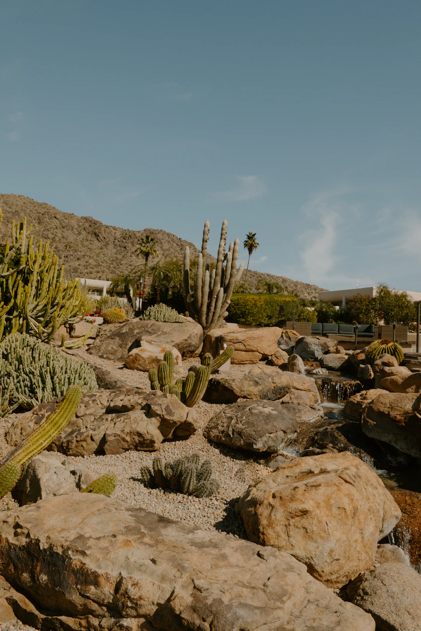 Sample desert garden landscape