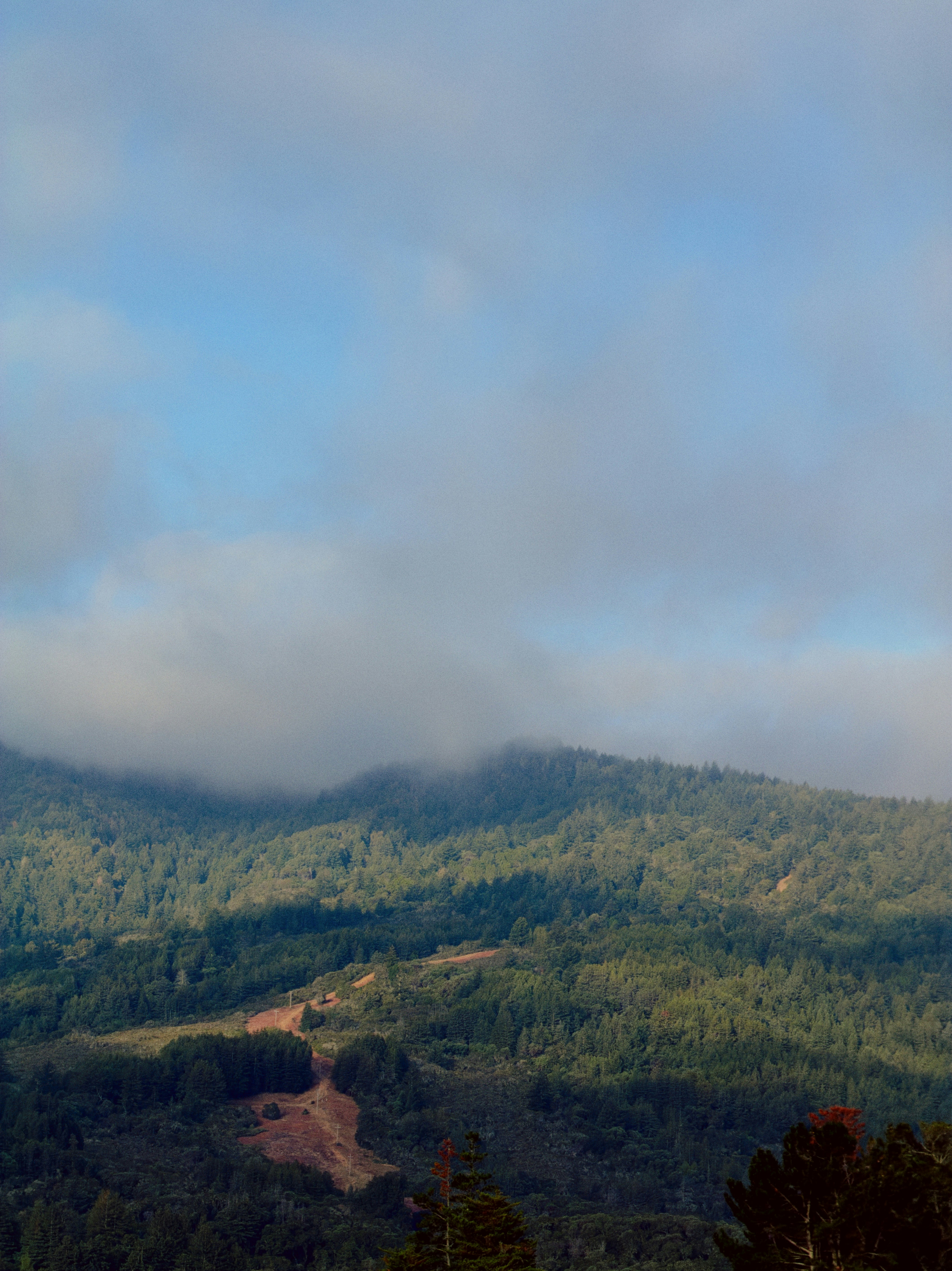 Forested mountains under clouds with a cleared slope