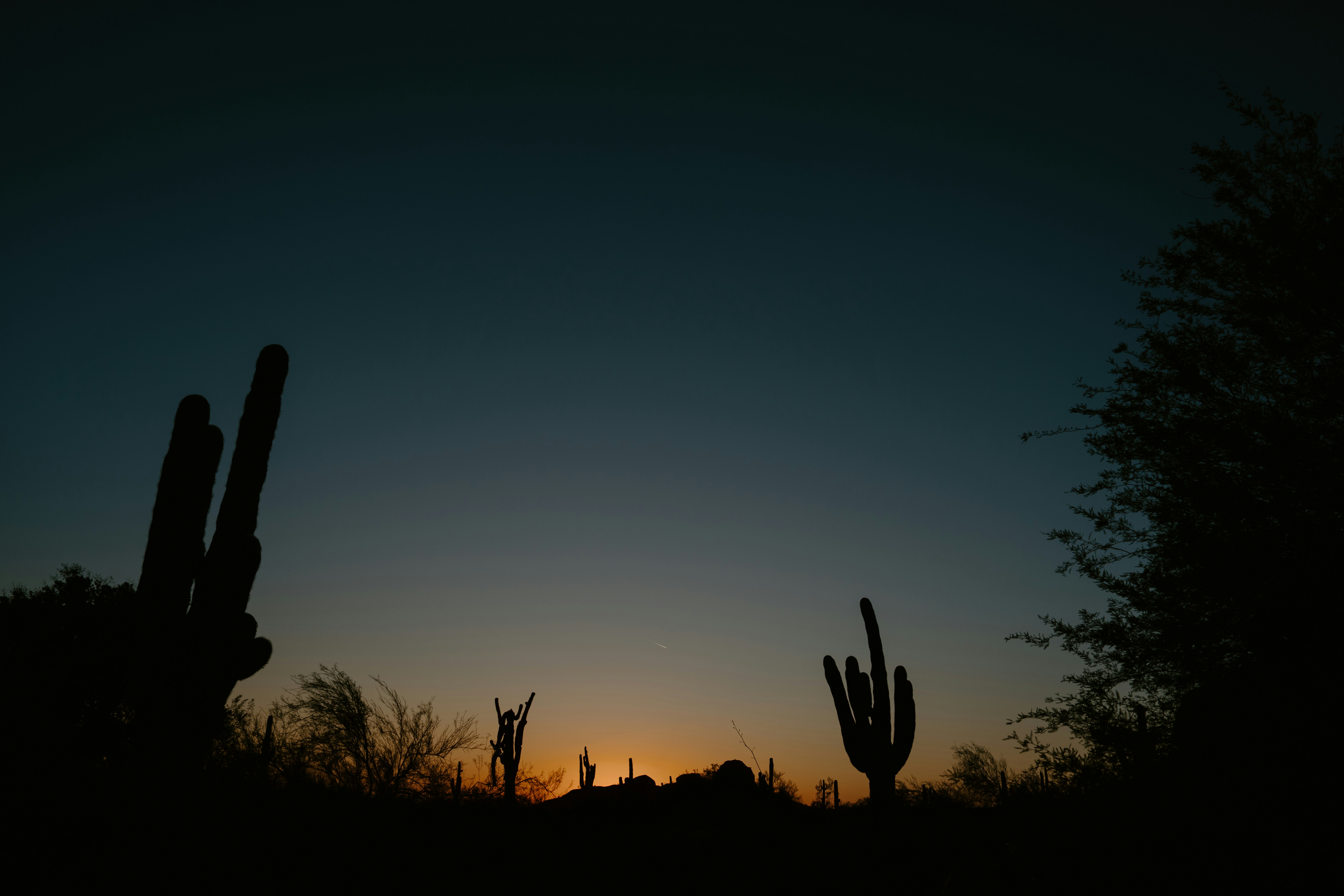 Silhouetted desert landscape with saguaro cacti at sunset. - 相关推荐