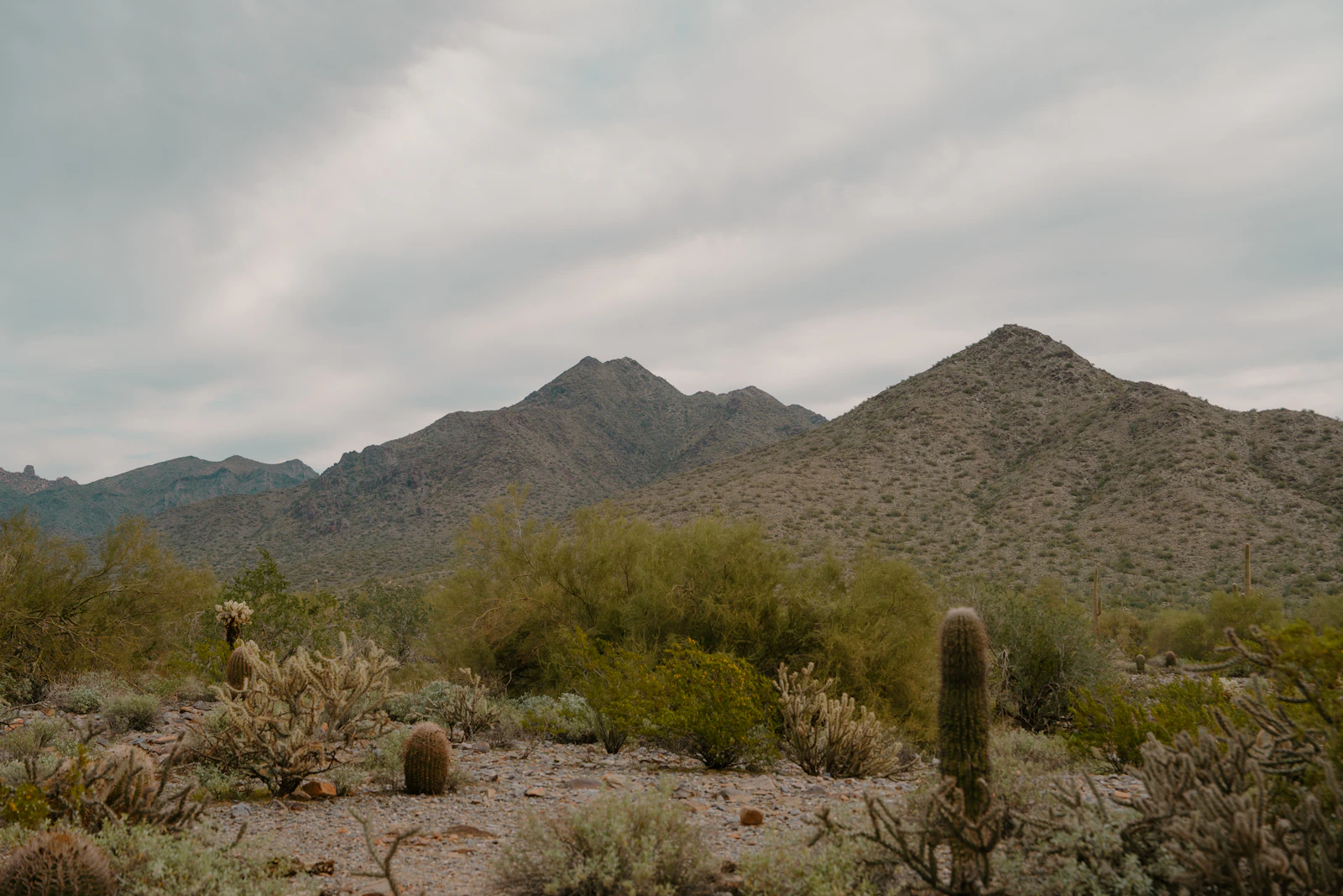 The Ritz-Carlton, Dove Mountain