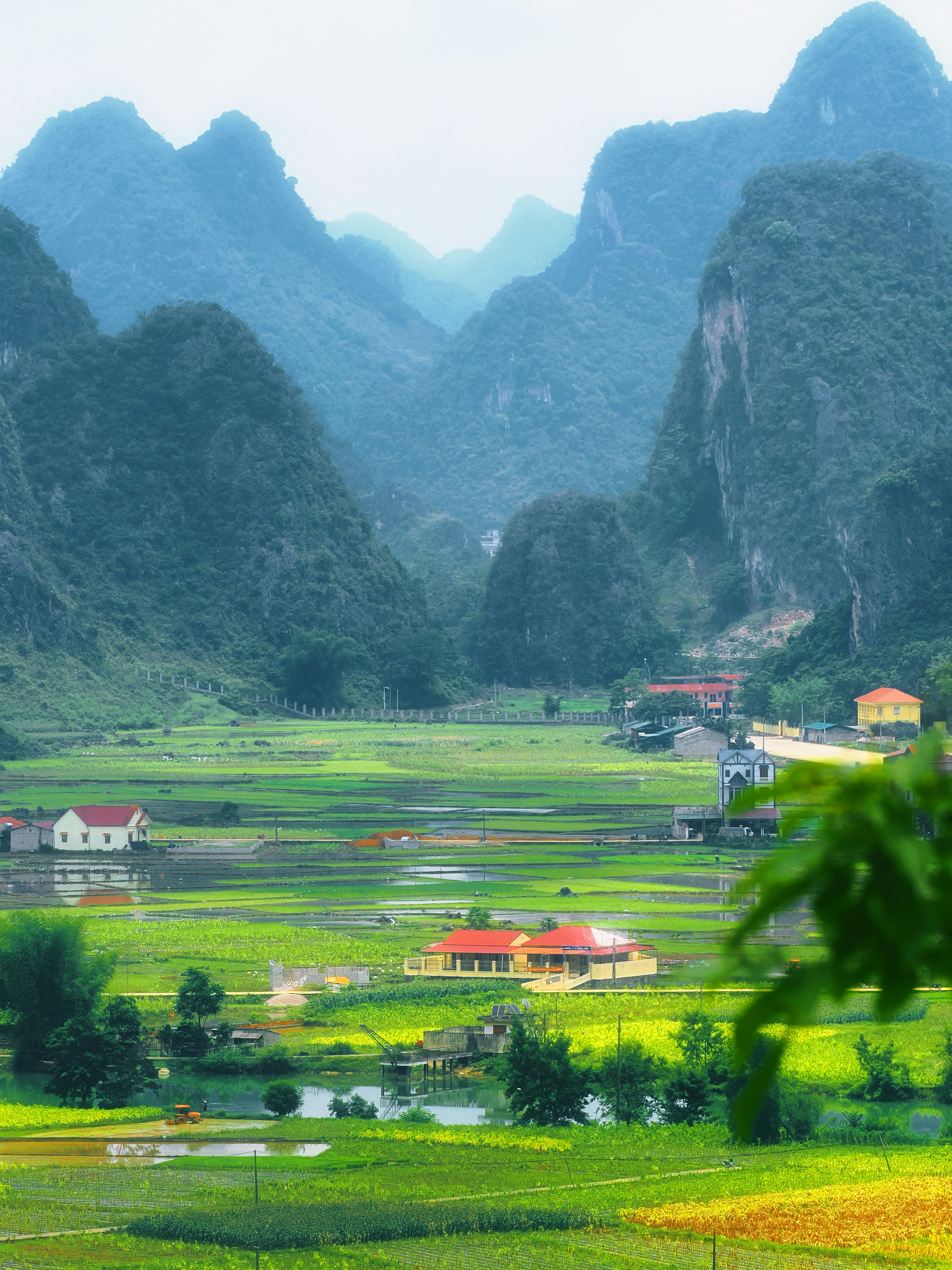 Green rice fields and houses nestled among majestic mountains.