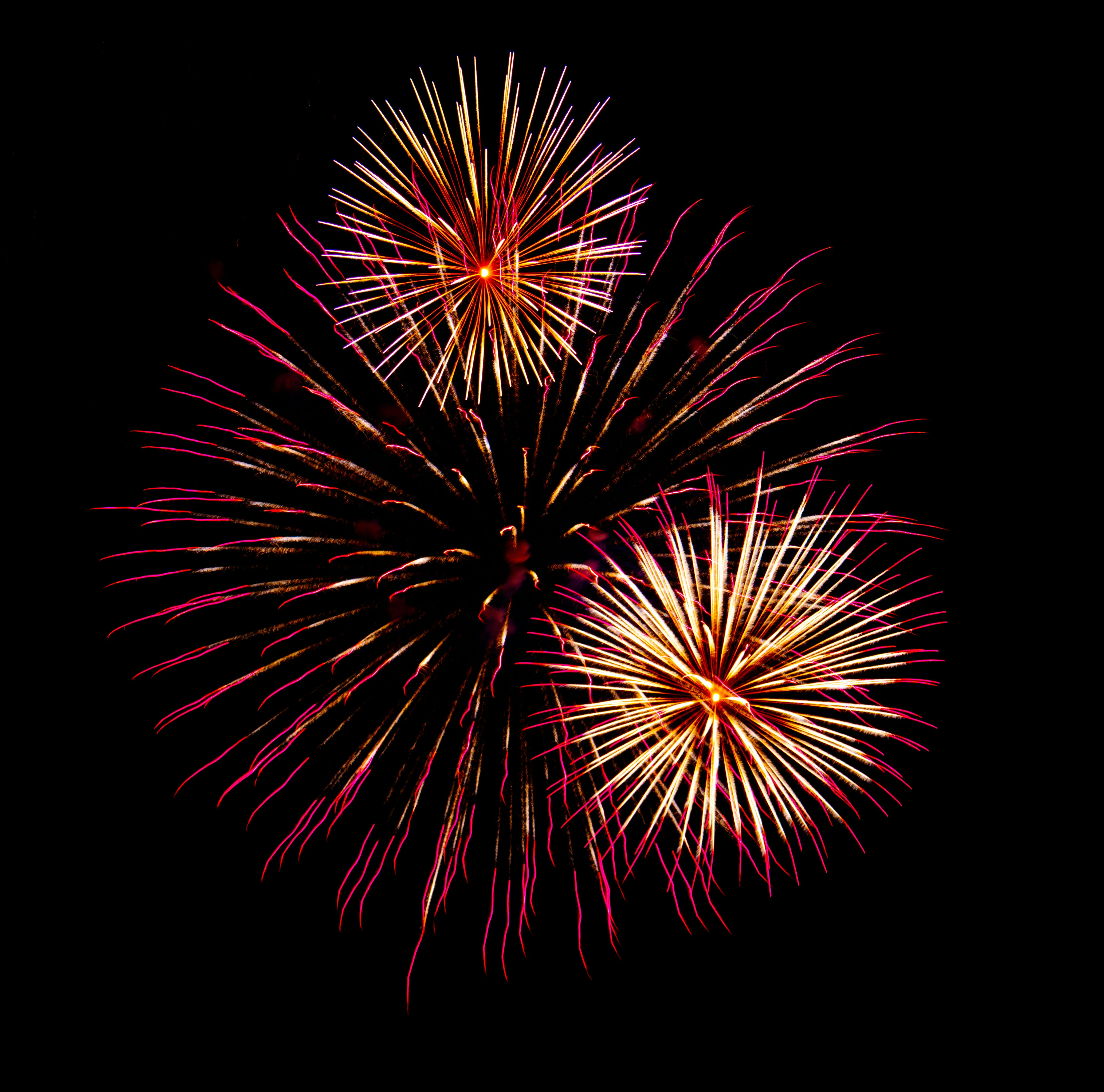 Vibrant red and gold fireworks burst in the night sky.