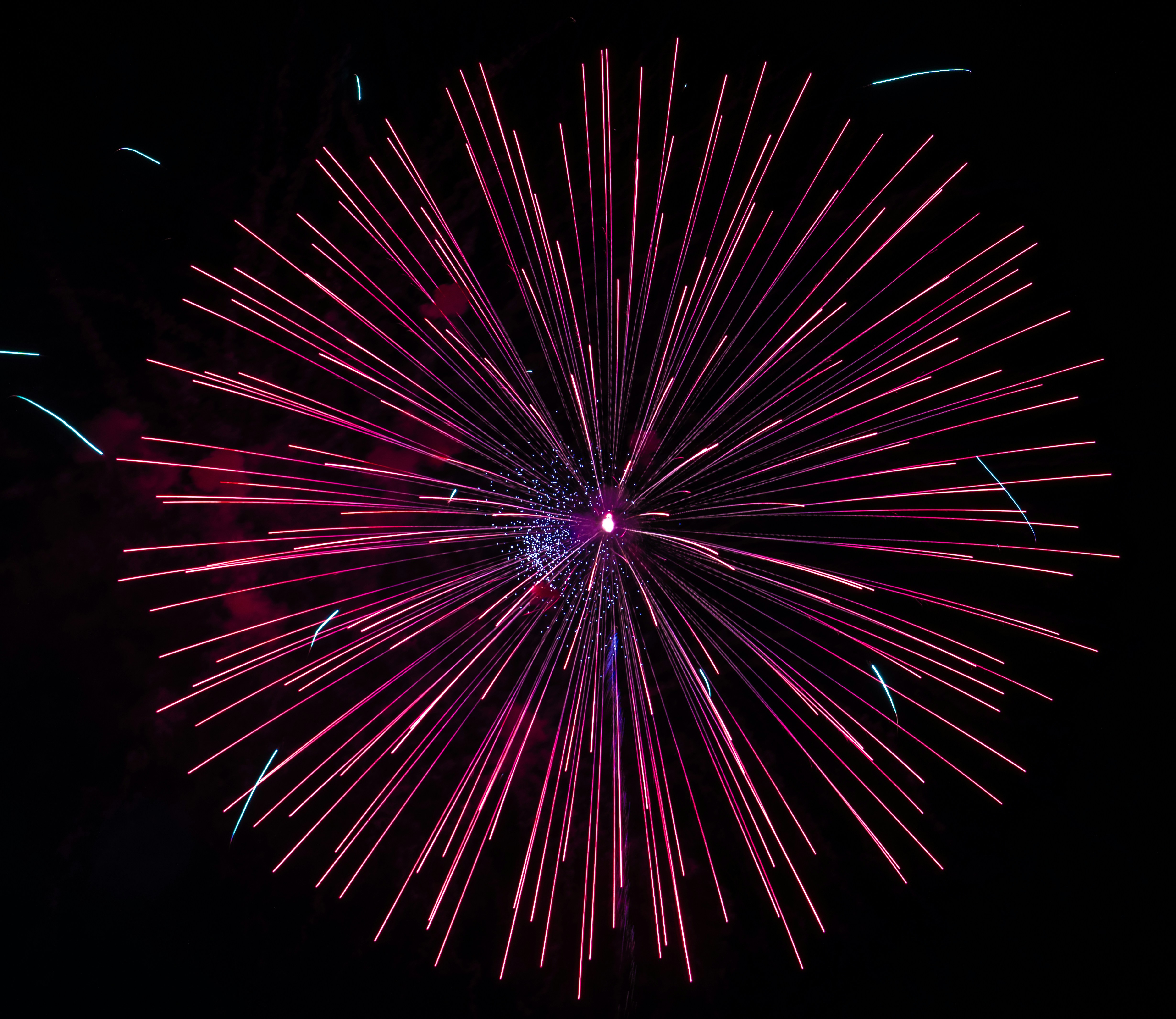 Vibrant red and pink fireworks exploding in a dark sky.