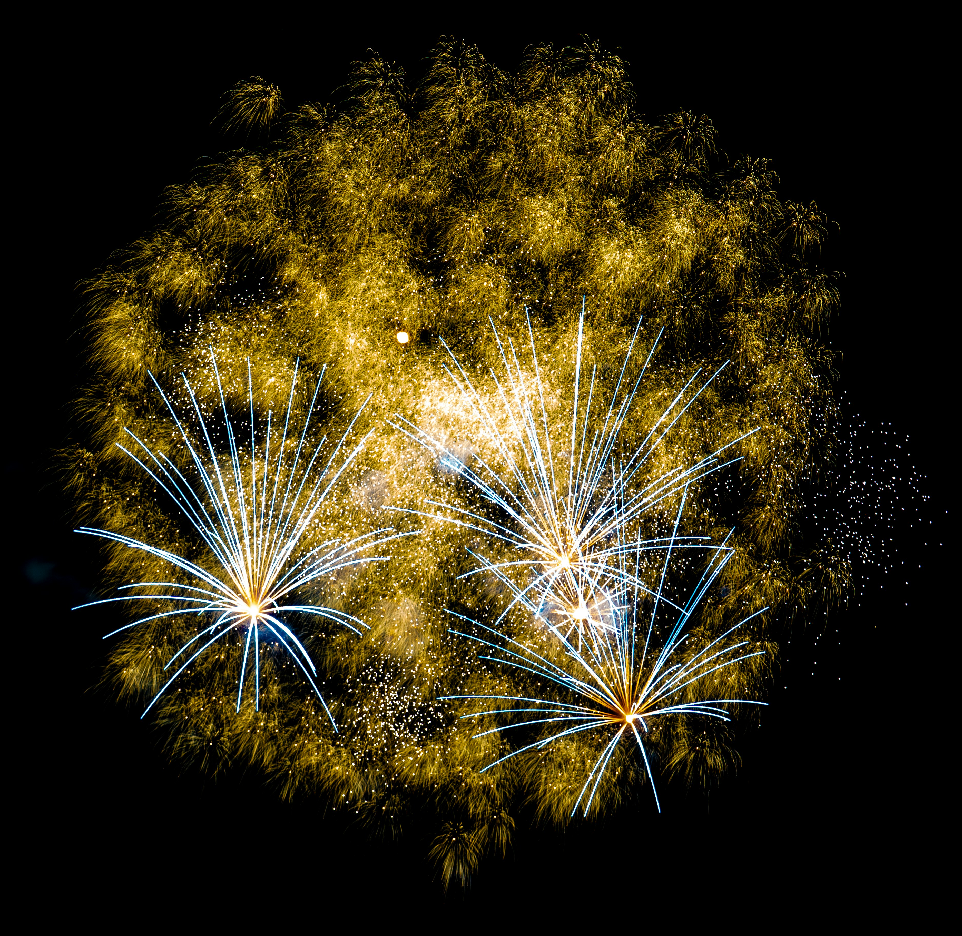 Spectacular golden and white fireworks explode in the dark.