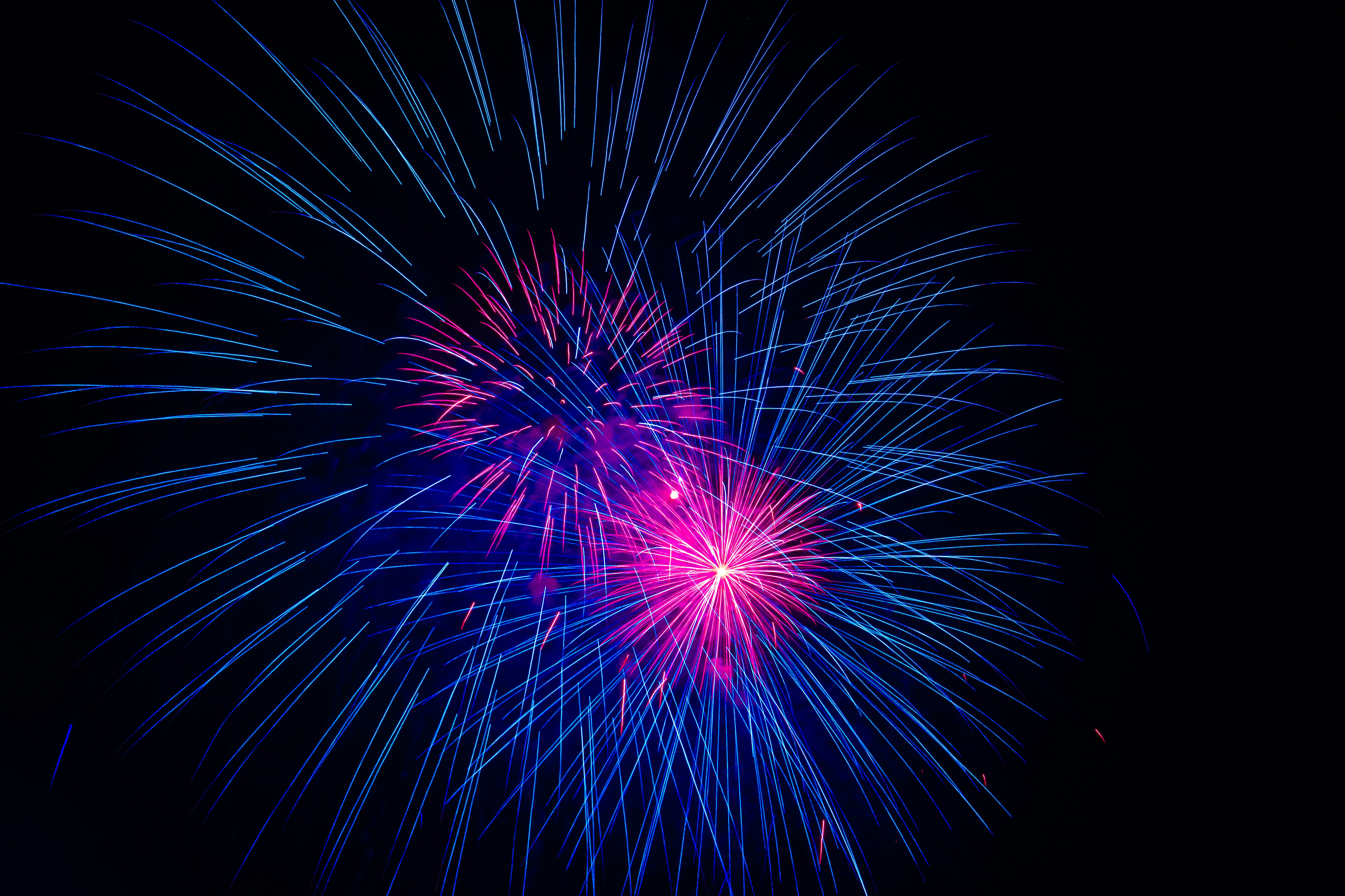 Vibrant blue and pink fireworks illuminate the night sky.
