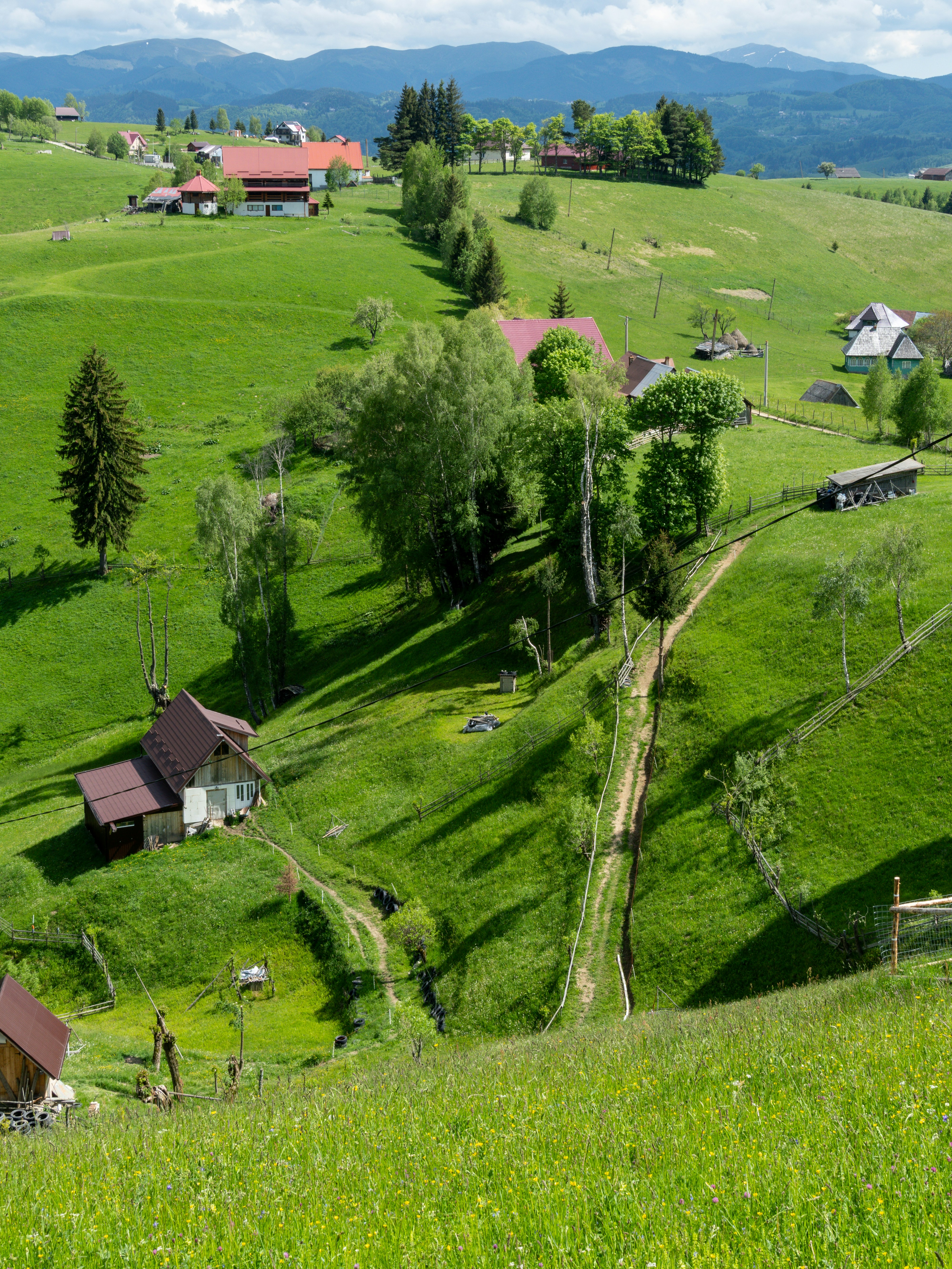 Colline verdi vivaci con case sparse e sentieri di terra tortuosi.