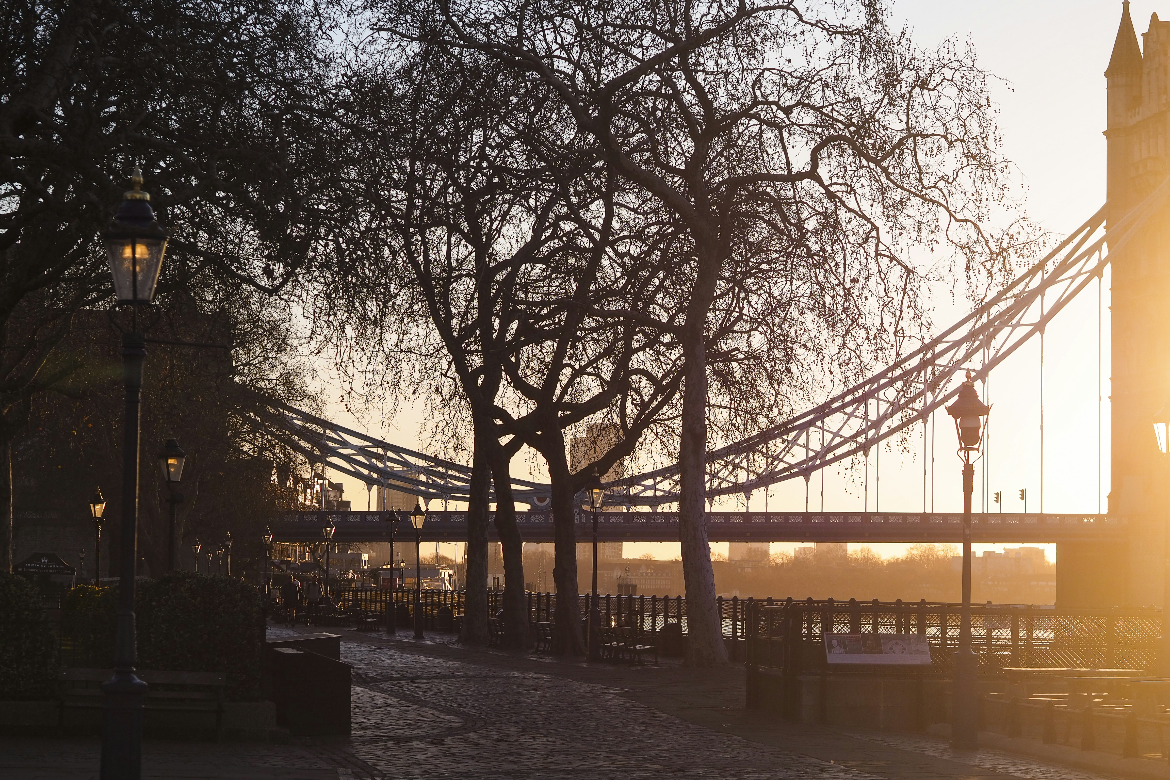 Ponte torre e alberi spogli al tramonto con lampioni.